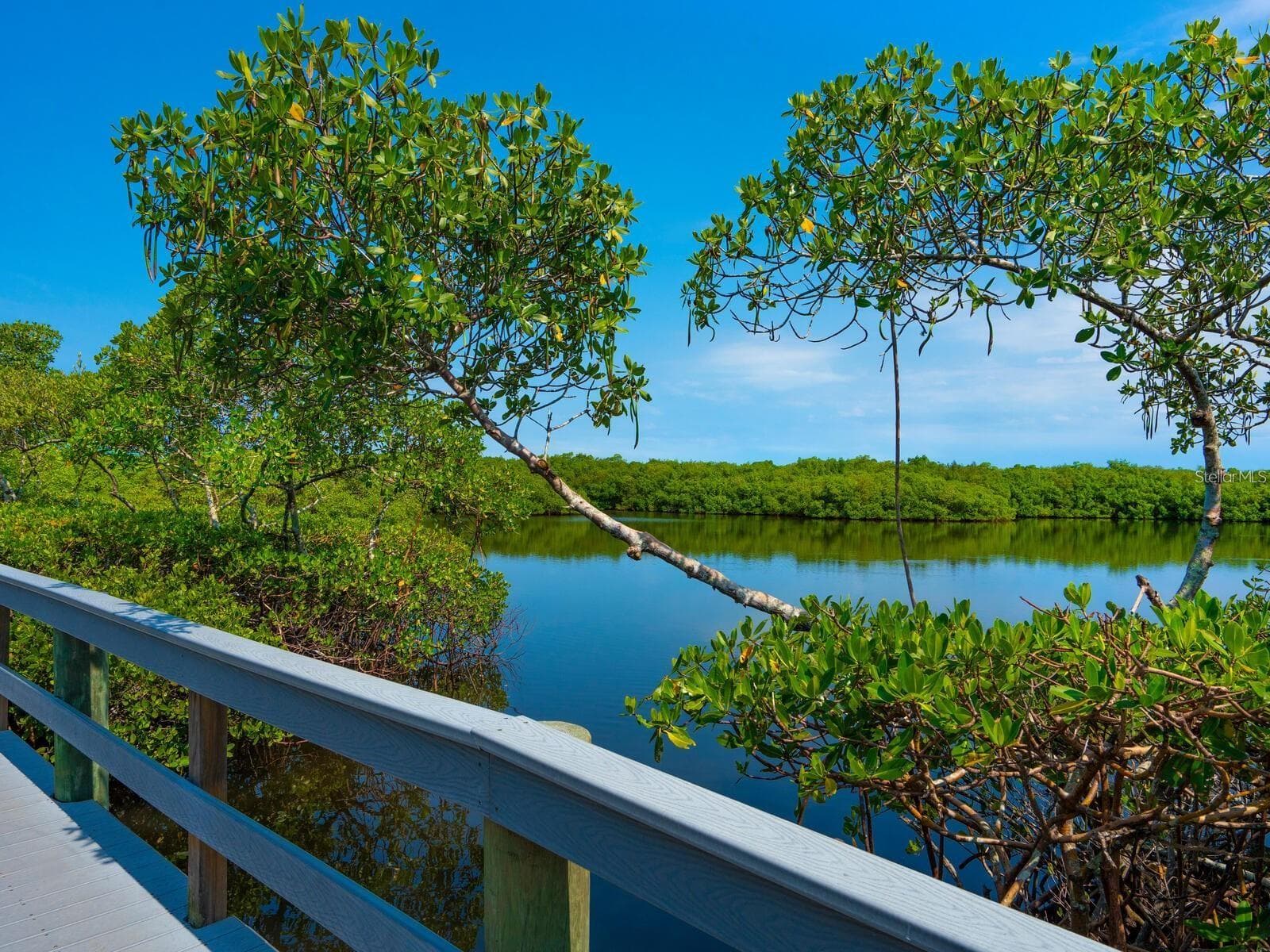 Nature Trails - 1678 STARLING DR #102, SARASOTA
