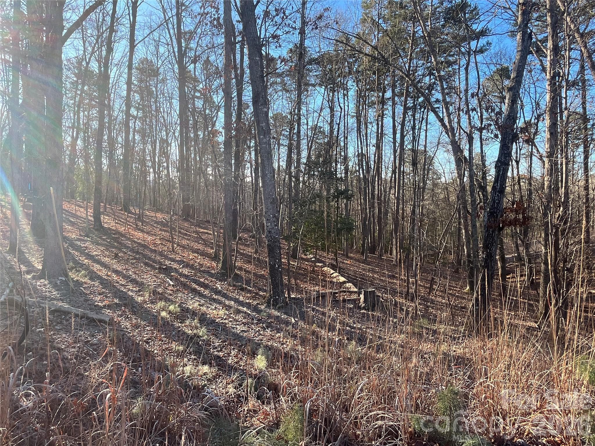 Lot at 1866 Fairfield Road, Mount Gilead, photo 2 of 8