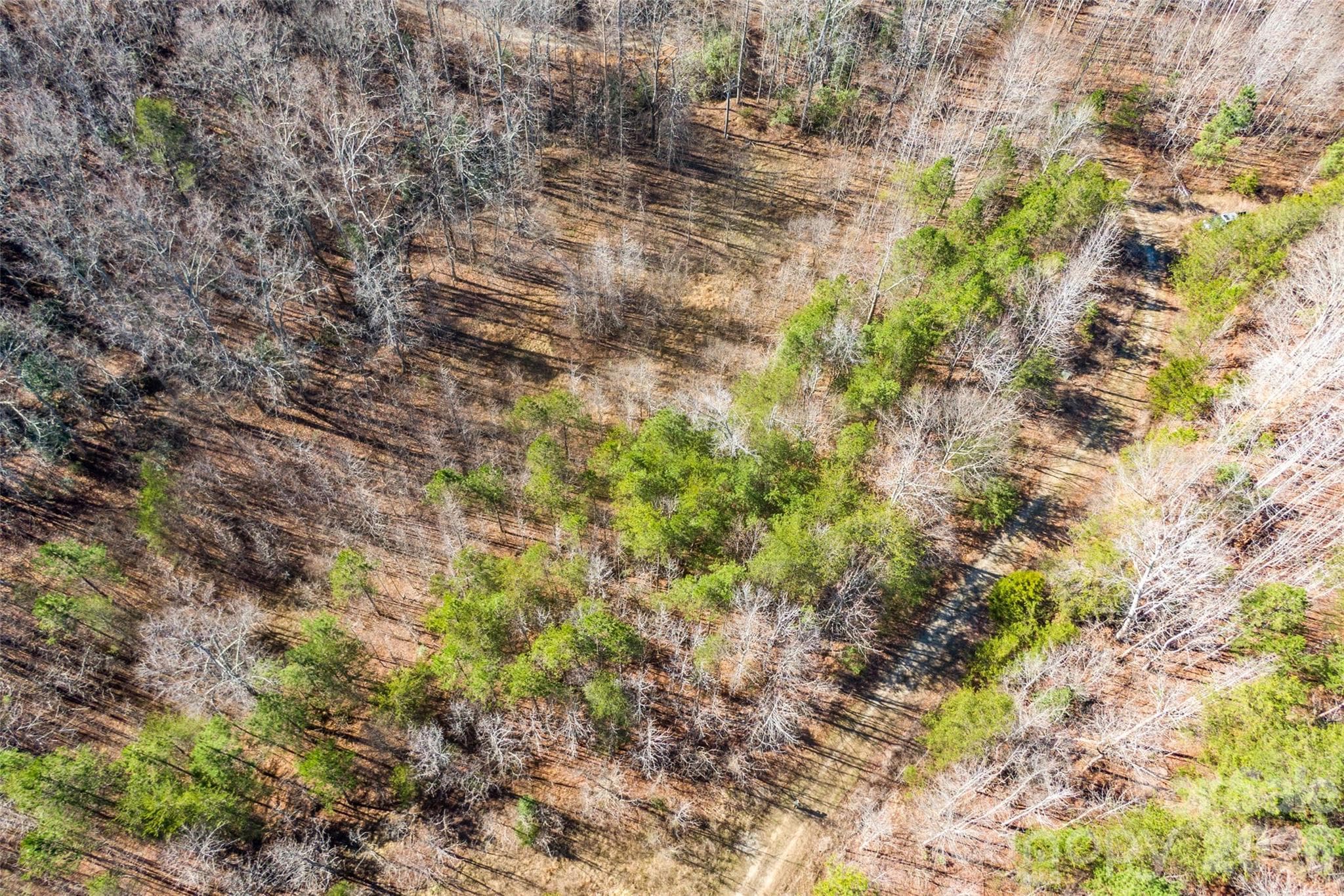 Lot at 0 Riding Ring Drive, Ellenboro, photo 5 of 6