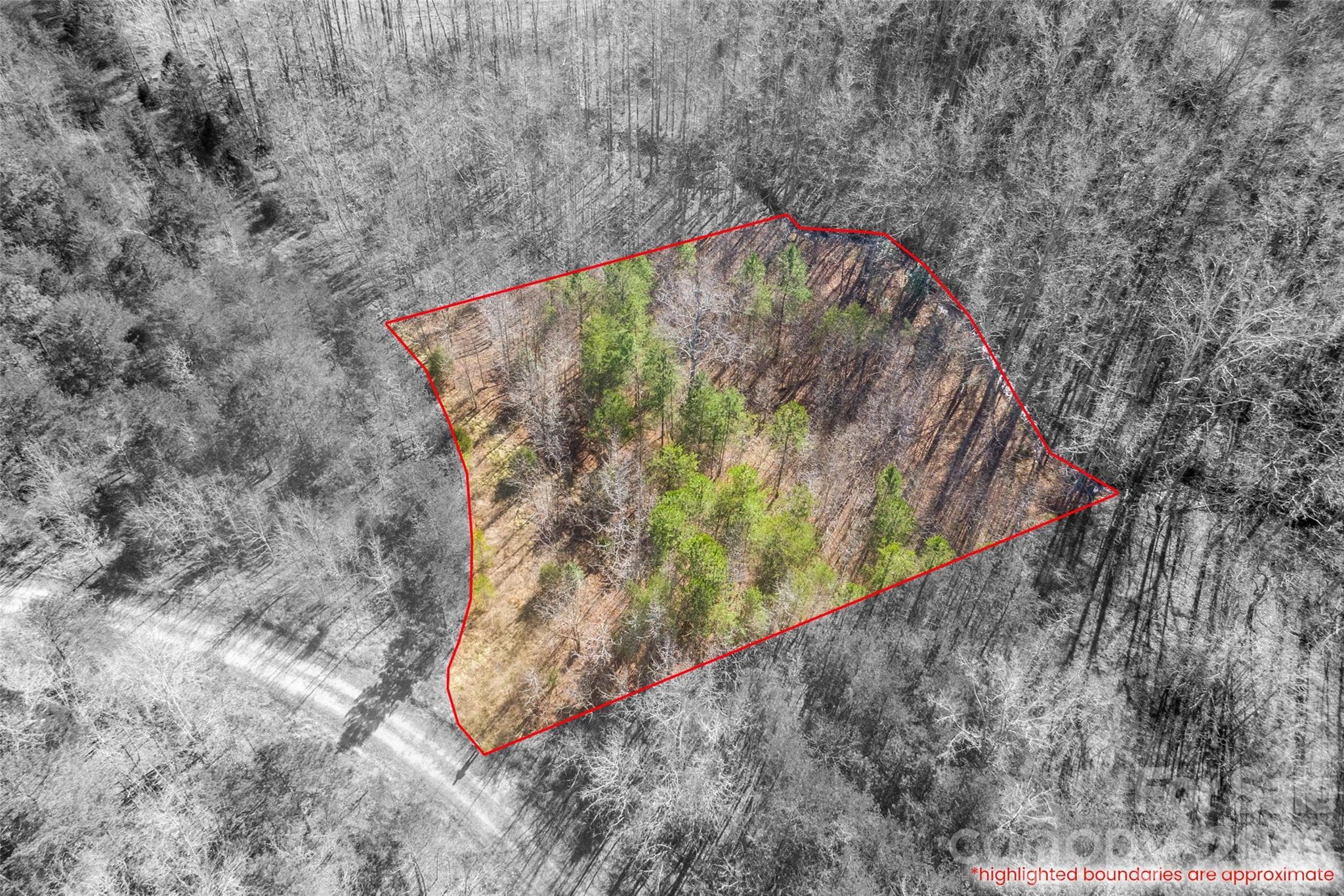 Lot at 0 Riding Ring Drive, Ellenboro, photo 6 of 7