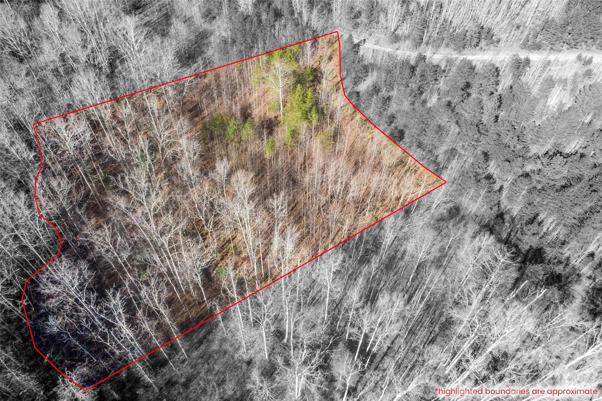 Lot at 0 Riding Ring Drive, Ellenboro, photo 7 of 7