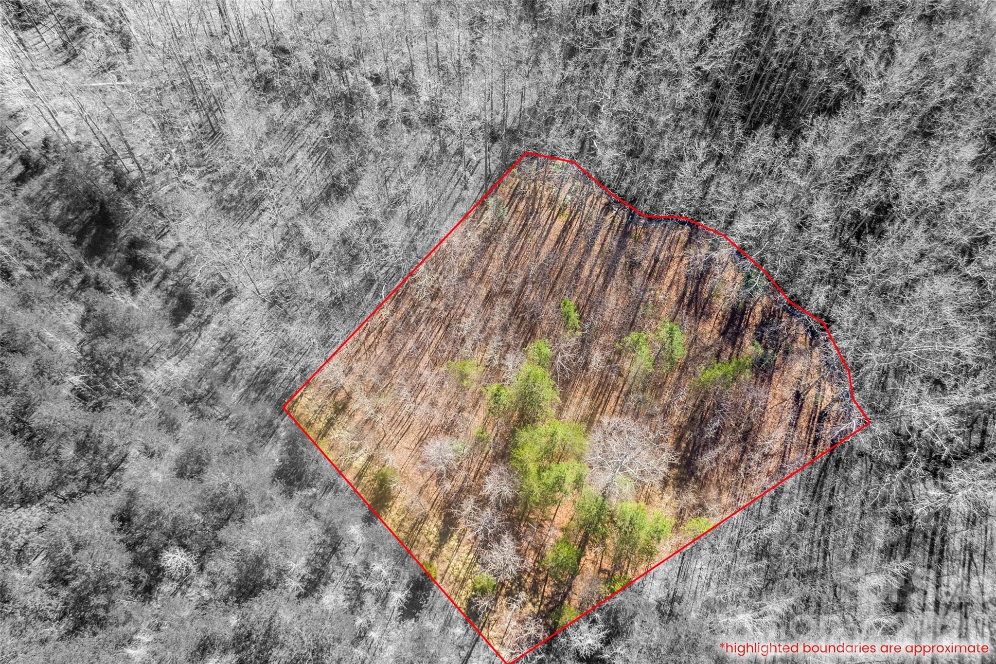 Lot at 0 Riding Ring Drive, Ellenboro, photo 4 of 4