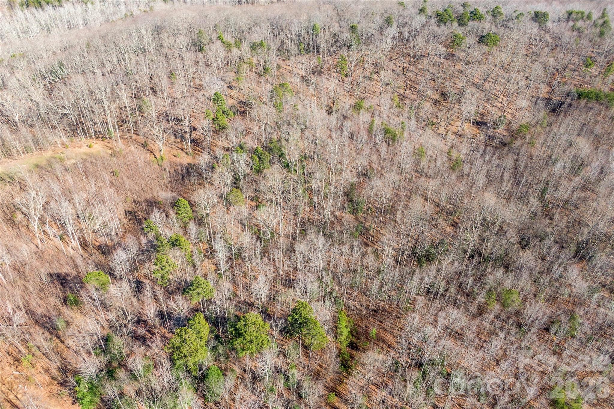 Lot at 0 Ashe Drive, Ellenboro, photo 3 of 6