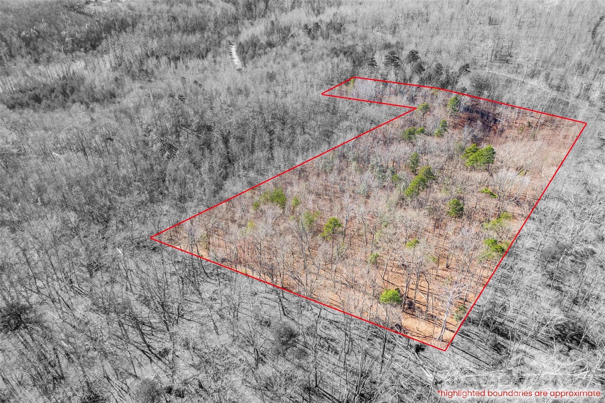 Lot at 0 Ashe Drive, Ellenboro, photo 5 of 6