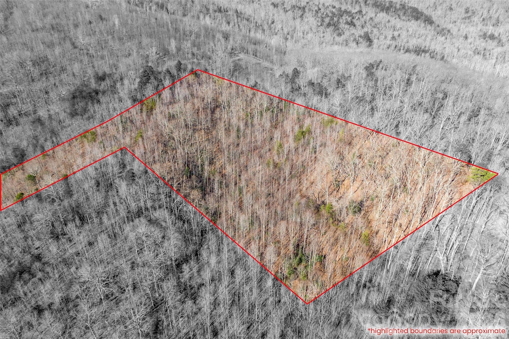 Lot at 0 Ashe Drive, Ellenboro, photo 6 of 6