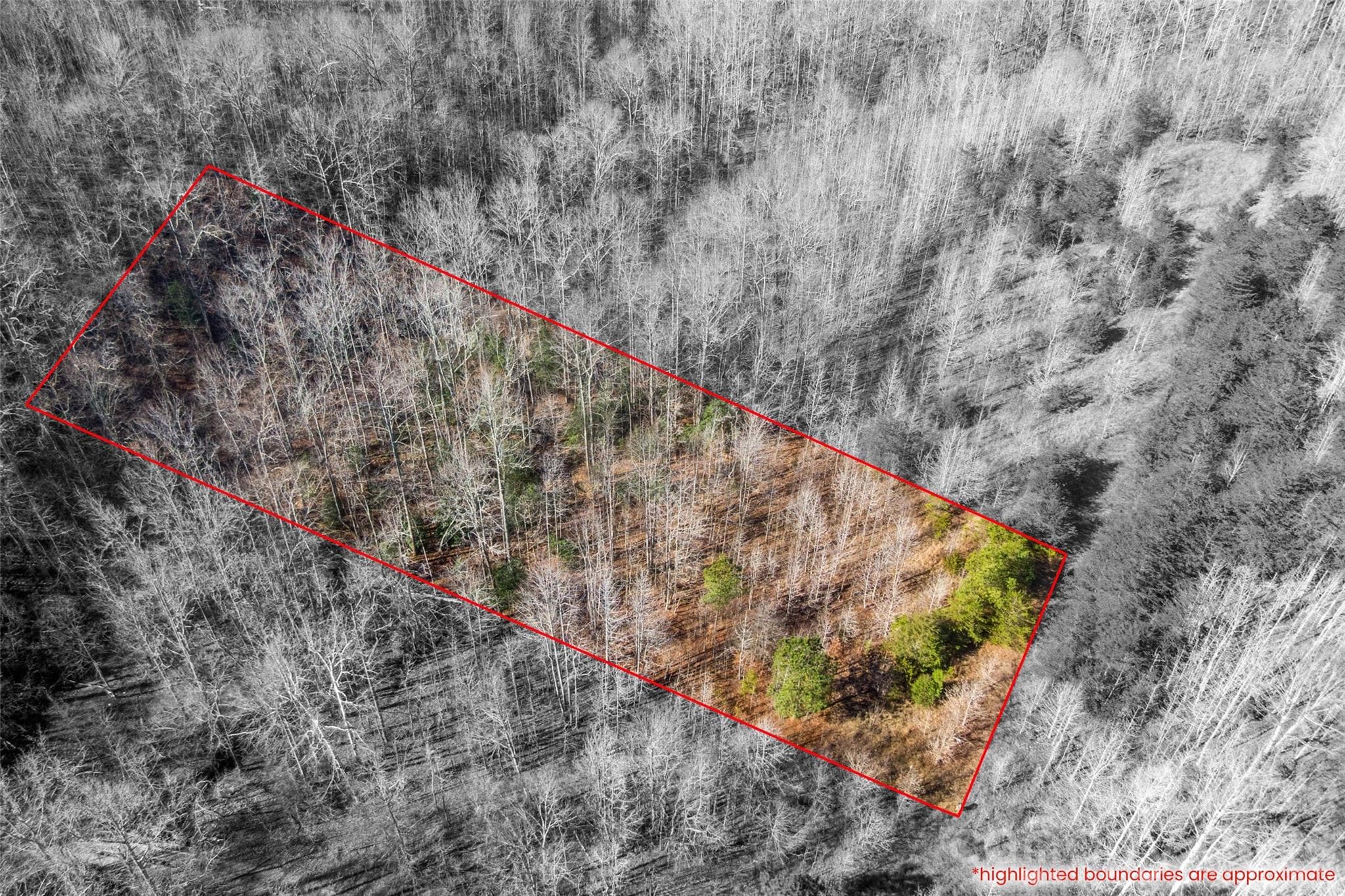 Lot at 0 W Pasture Drive, Ellenboro, photo 4 of 7
