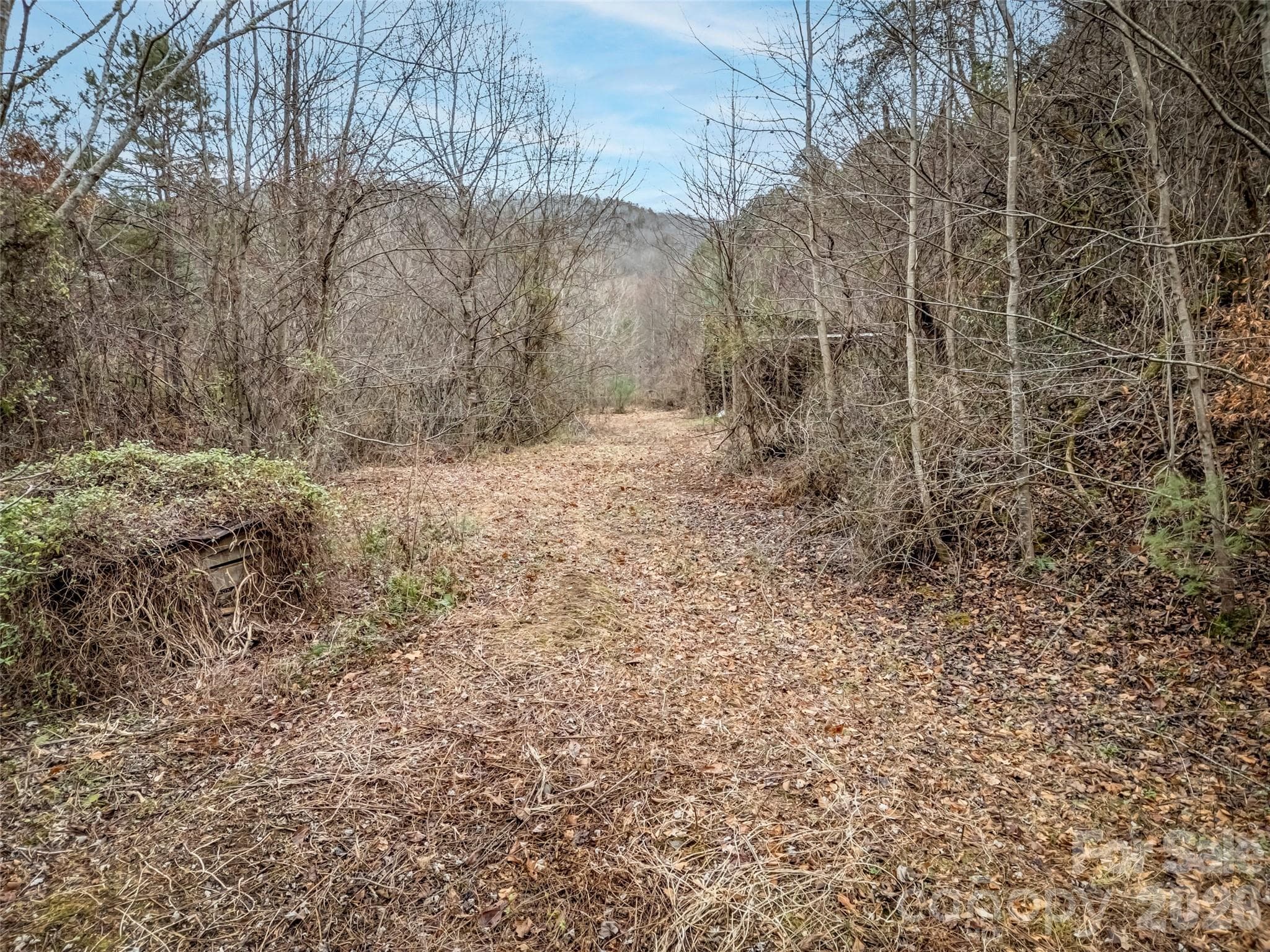 Farm at 896 Newfound Road, Leicester, photo 5 of 27