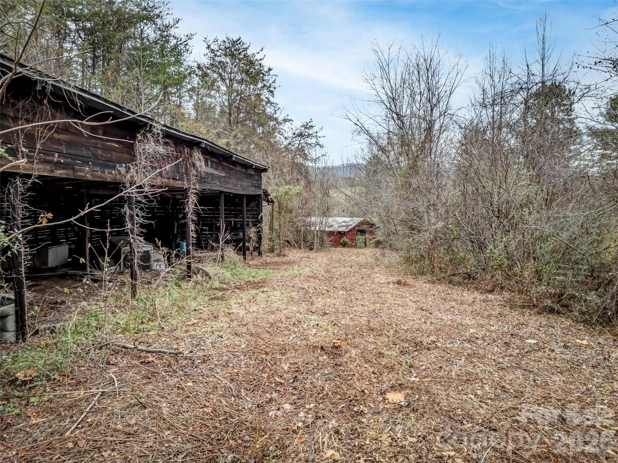 Farm at 896 Newfound Road, Leicester, photo 16 of 27