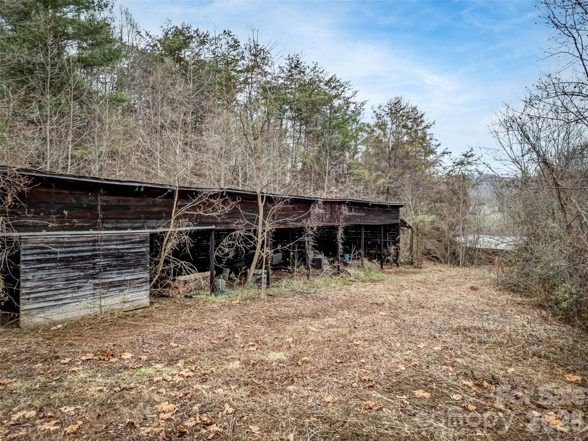 Farm at 896 Newfound Road, Leicester, photo 17 of 27