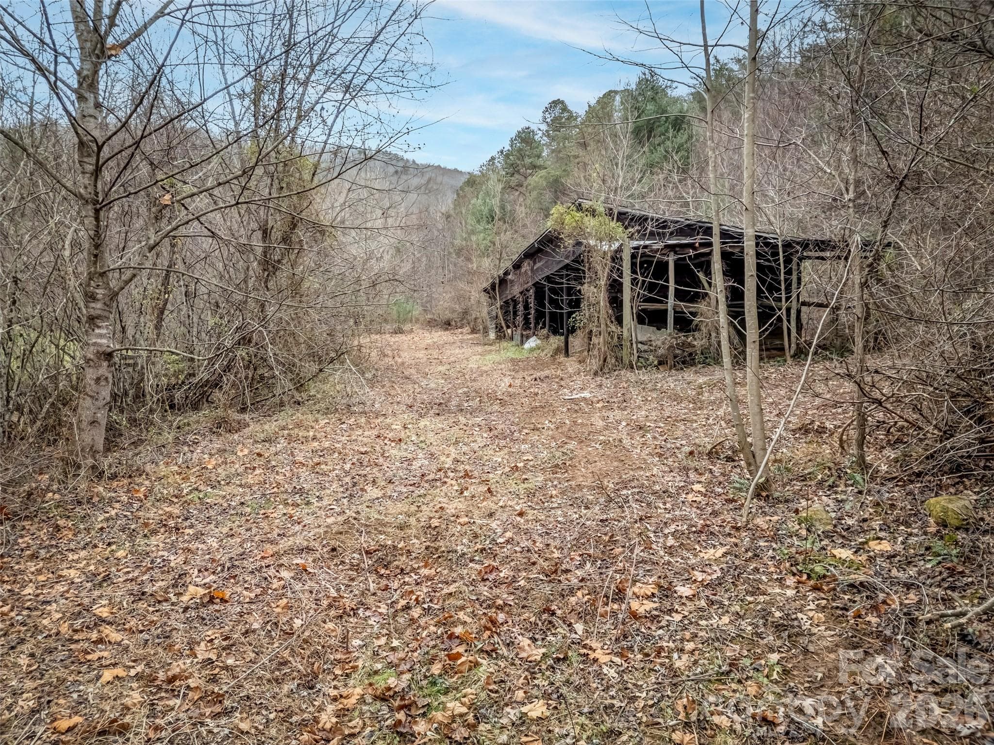 Farm at 896 Newfound Road, Leicester, photo 18 of 27