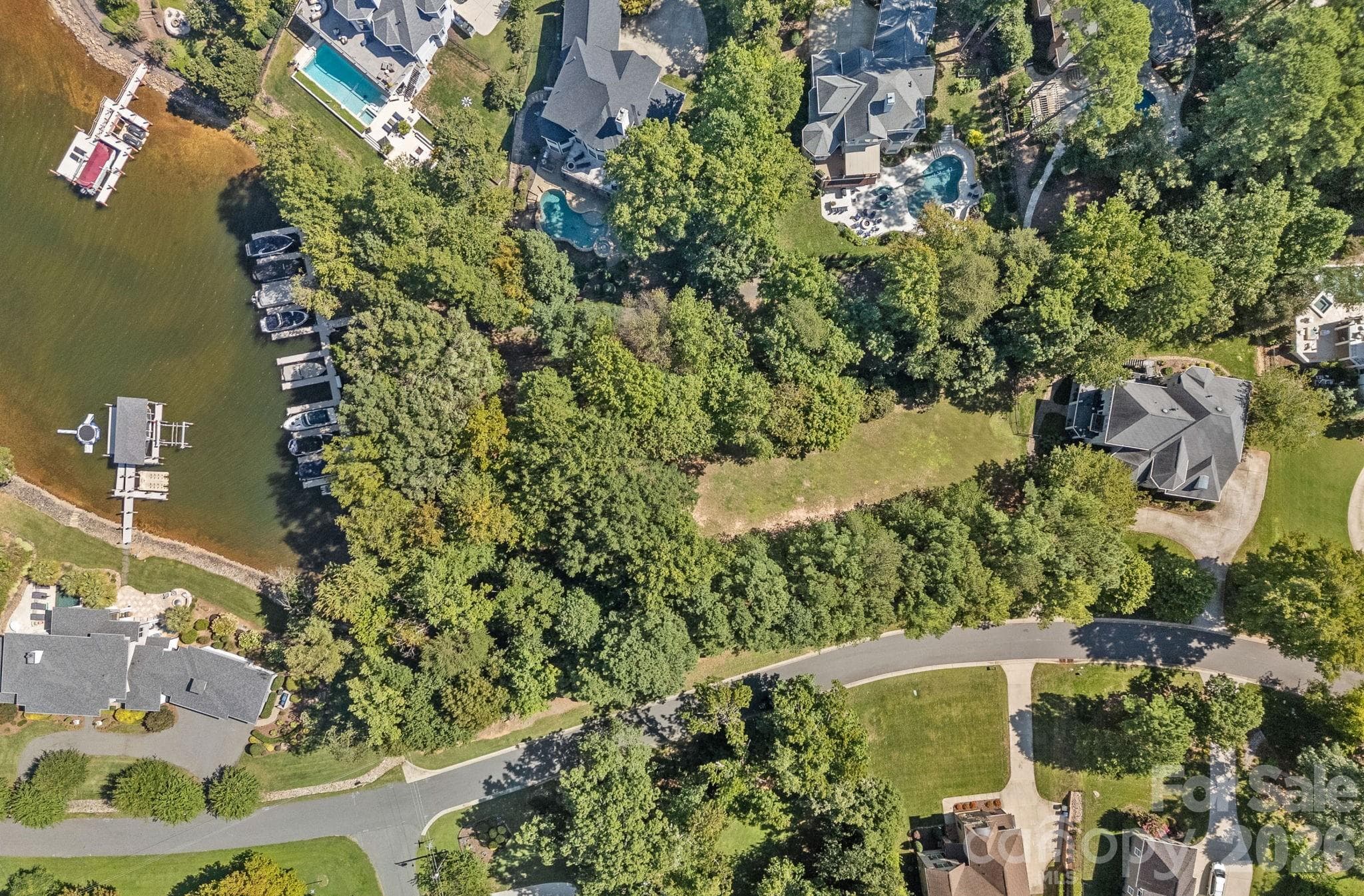 Lot at 19002 Lakehouse Pointe Drive, Cornelius, photo 6 of 14