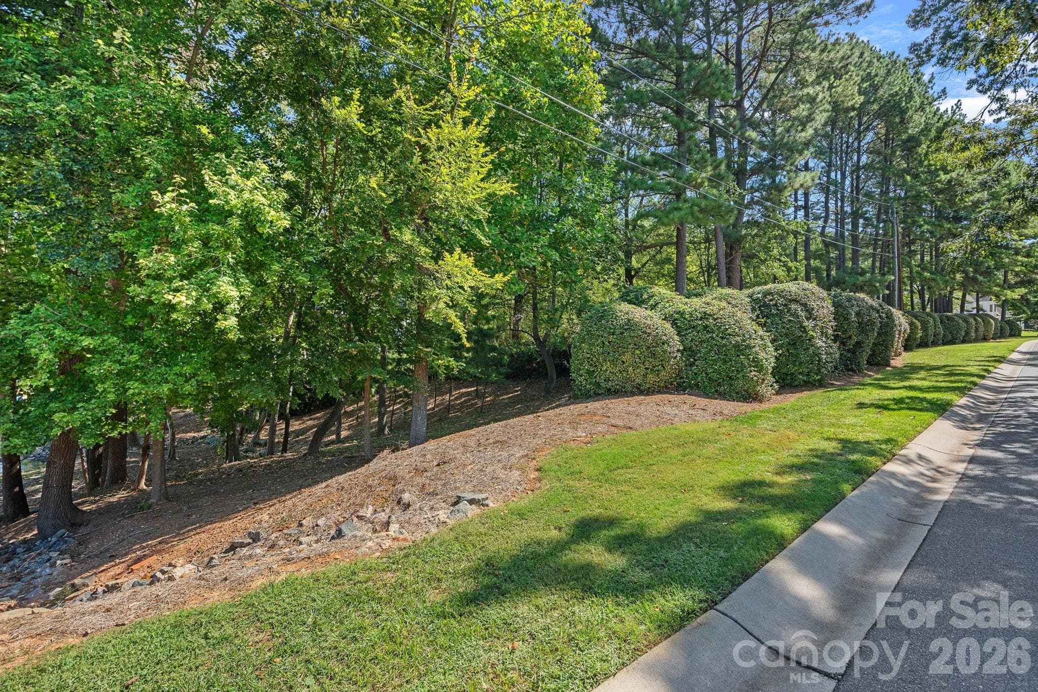 Lot at 19002 Lakehouse Pointe Drive, Cornelius, photo 10 of 14