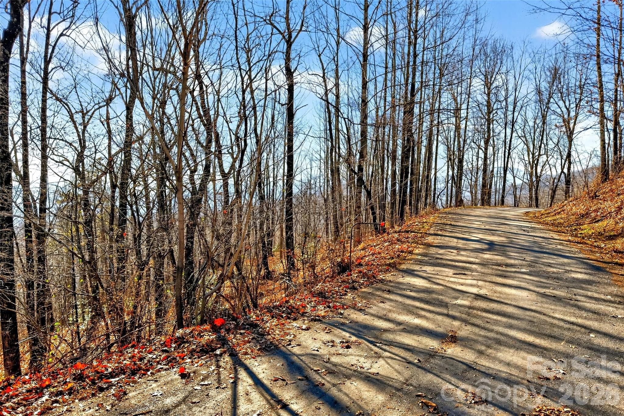 Acreage at Old Fort, photo 8 of 43