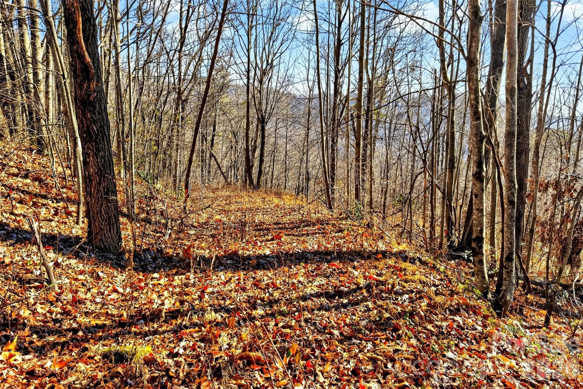 Acreage at Old Fort, photo 10 of 43
