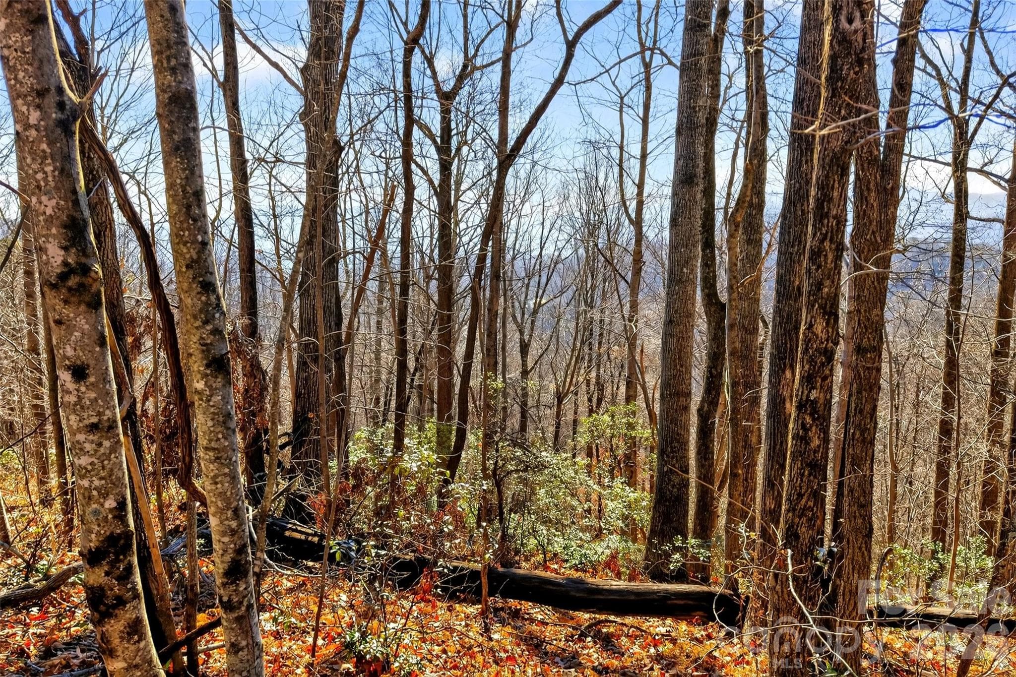 Acreage at Old Fort, photo 11 of 43