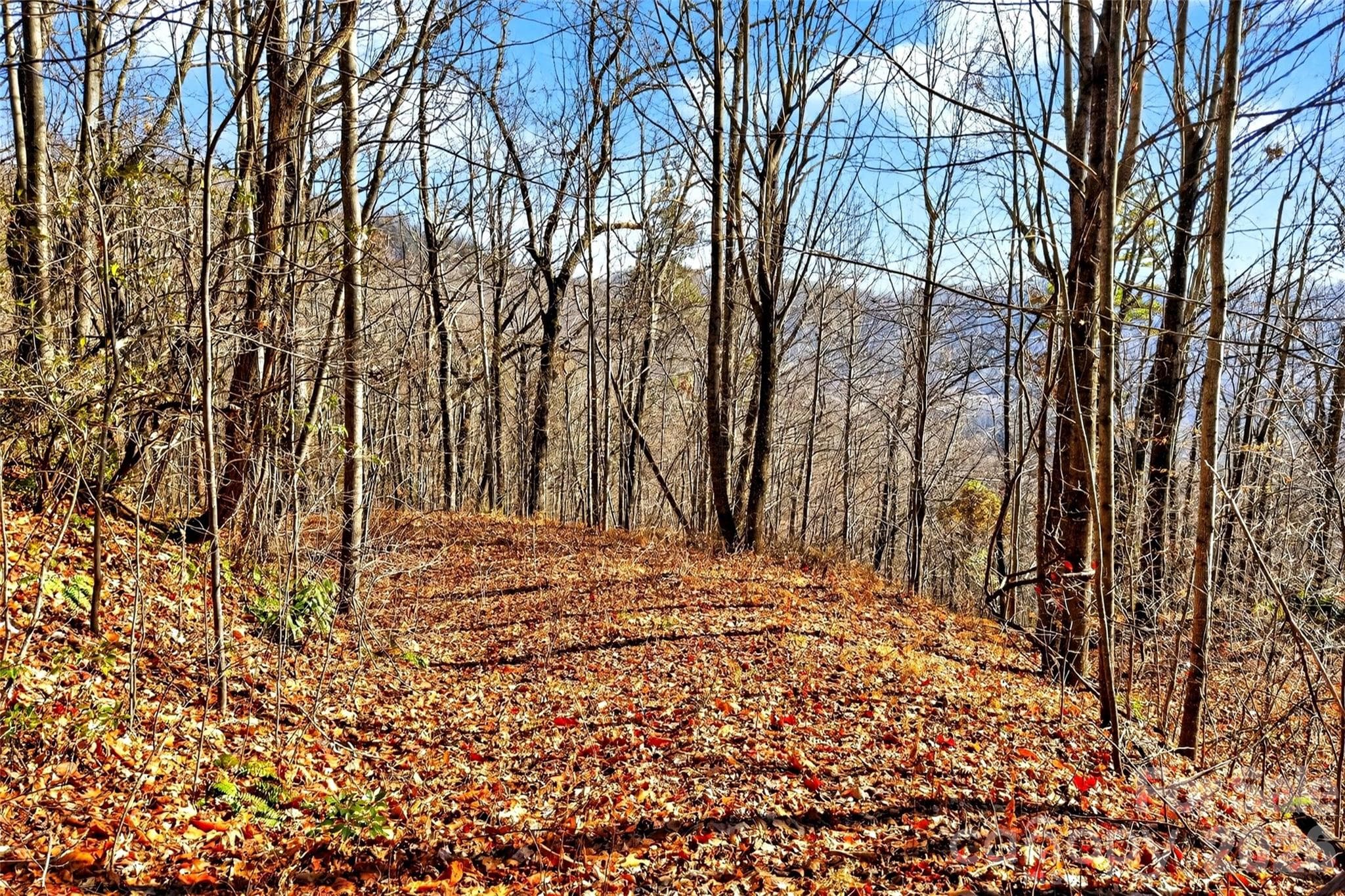 Acreage at Old Fort, photo 12 of 43