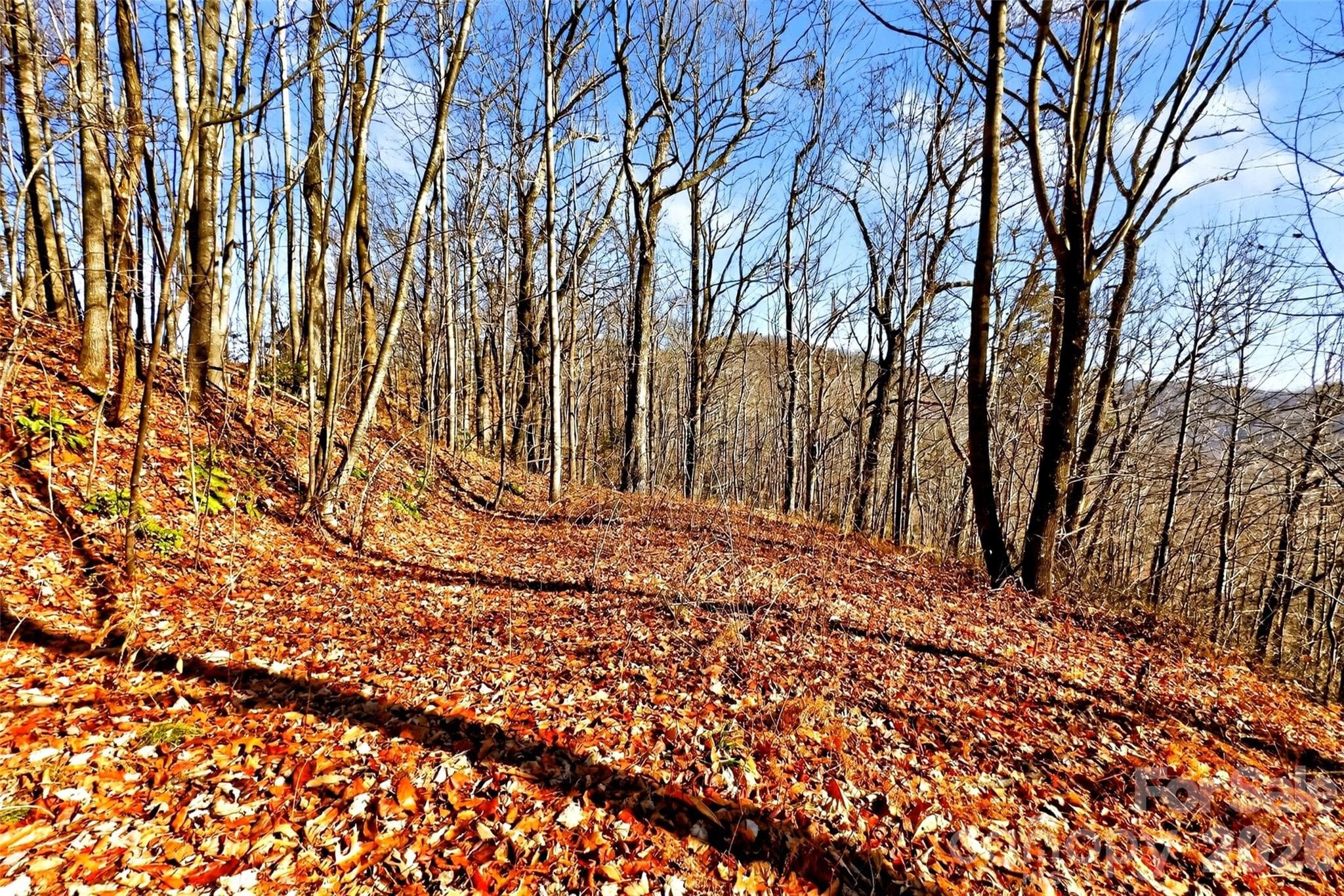 Acreage at Old Fort, photo 13 of 43