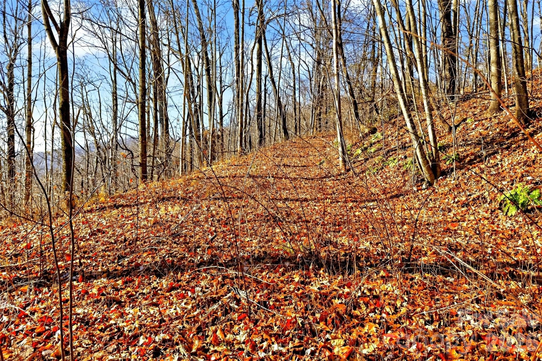 Acreage at Old Fort, photo 14 of 43