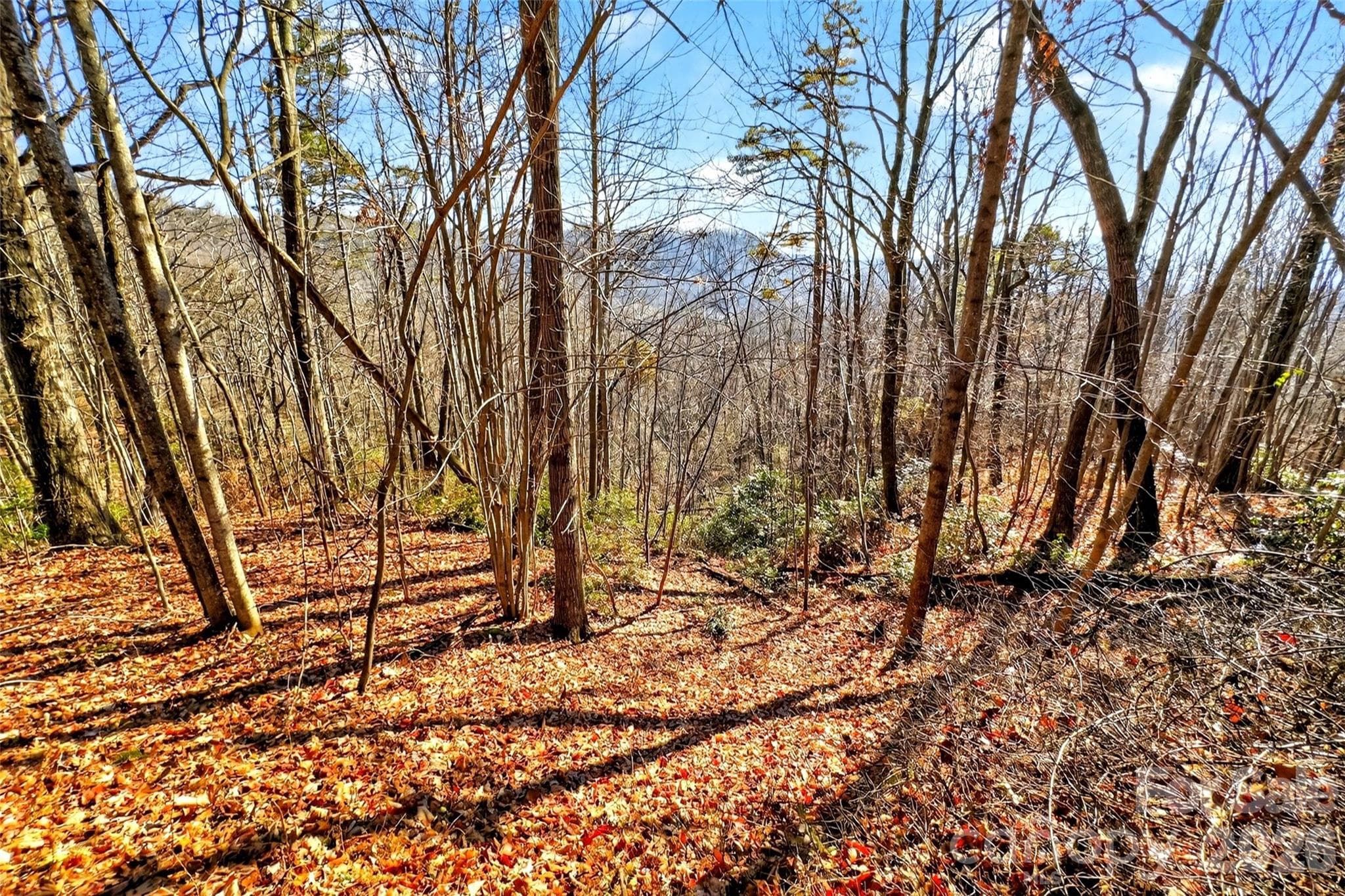 Acreage at Old Fort, photo 15 of 43