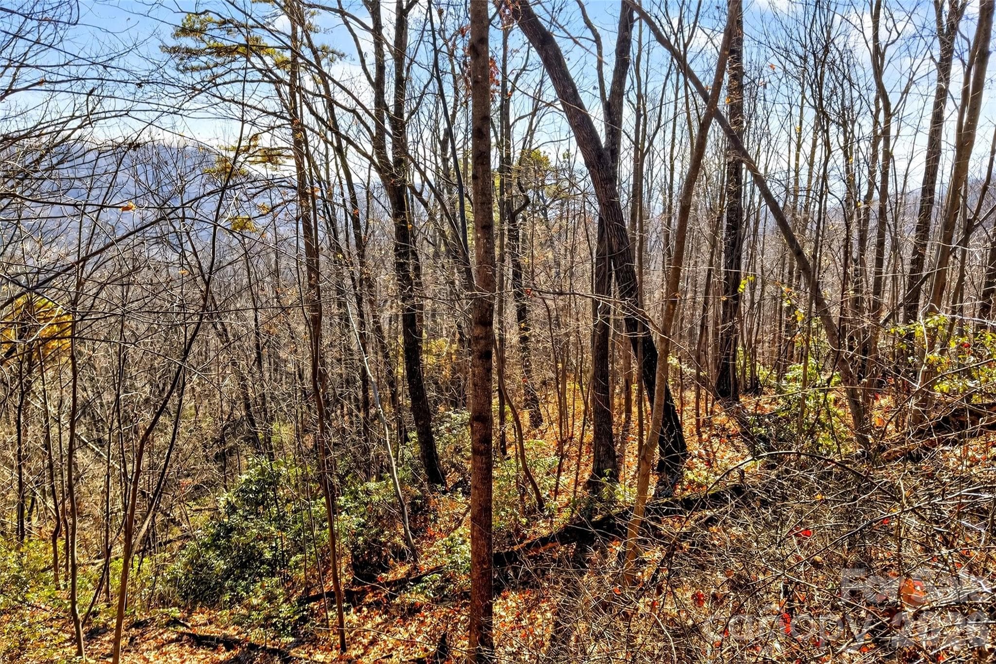 Acreage at Old Fort, photo 16 of 43
