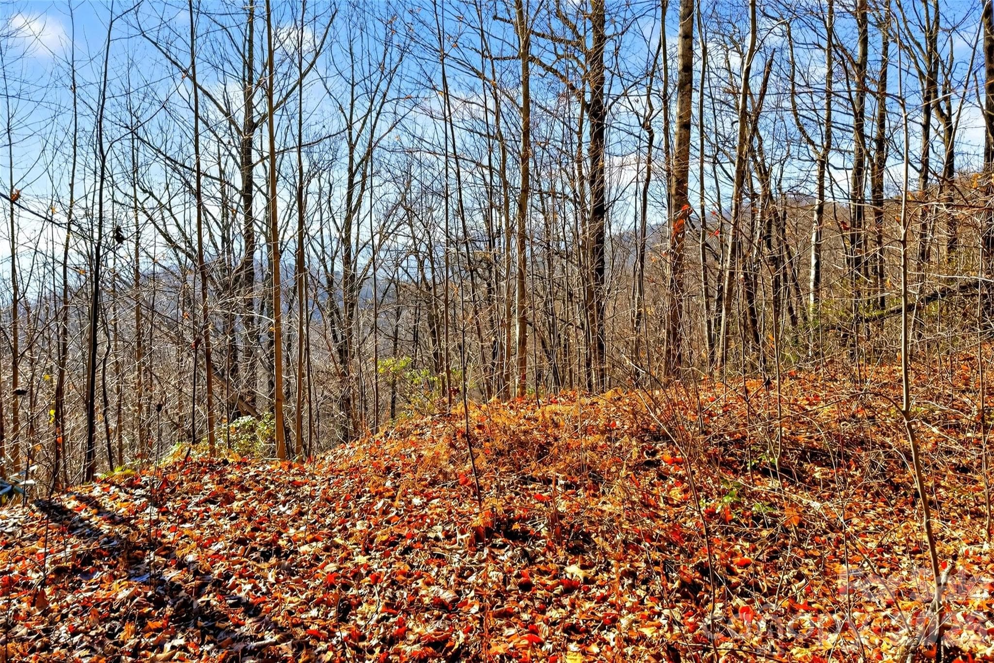 Acreage at Old Fort, photo 17 of 43