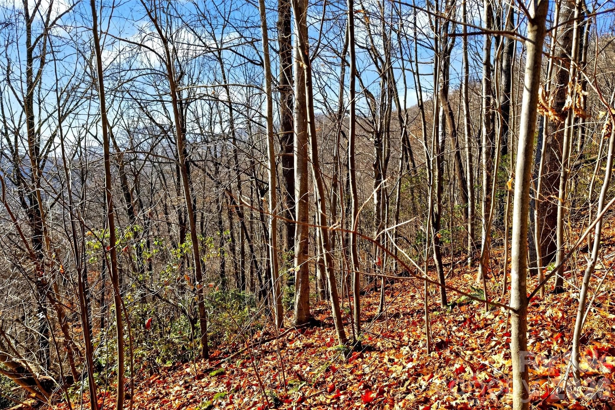 Acreage at Old Fort, photo 19 of 43
