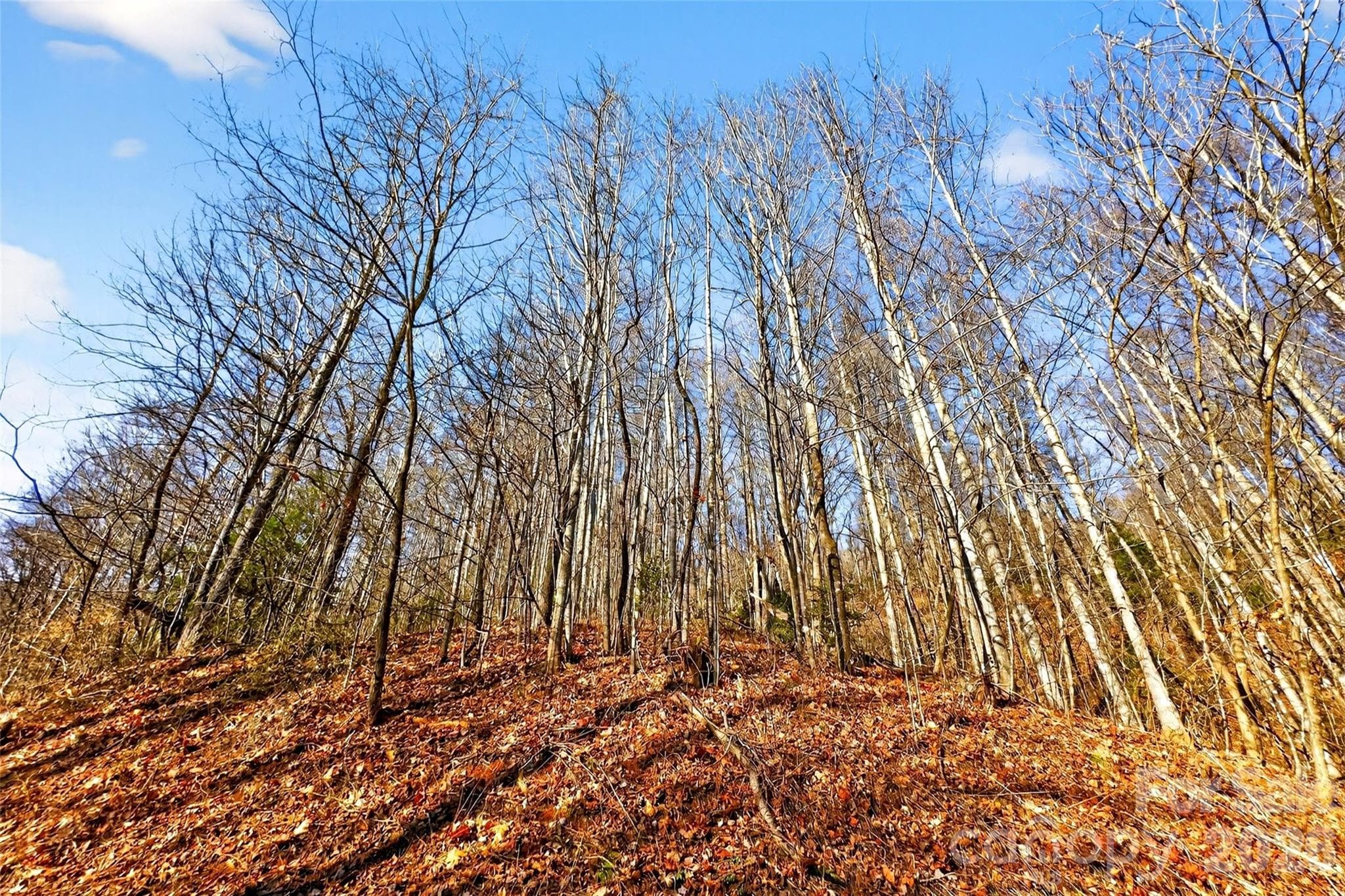 Acreage at Old Fort, photo 23 of 43