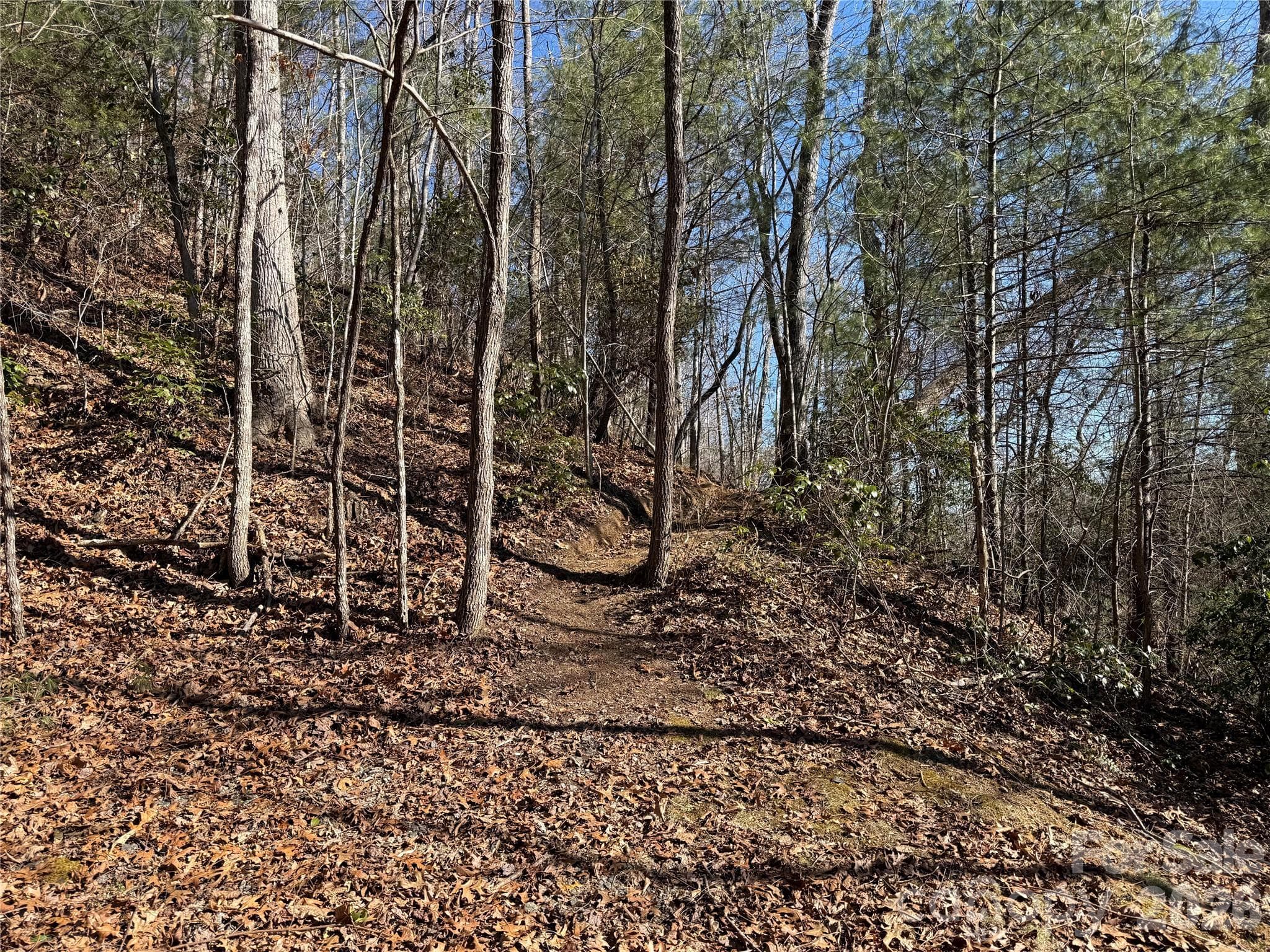 Lot at Brevard, photo 3 of 26