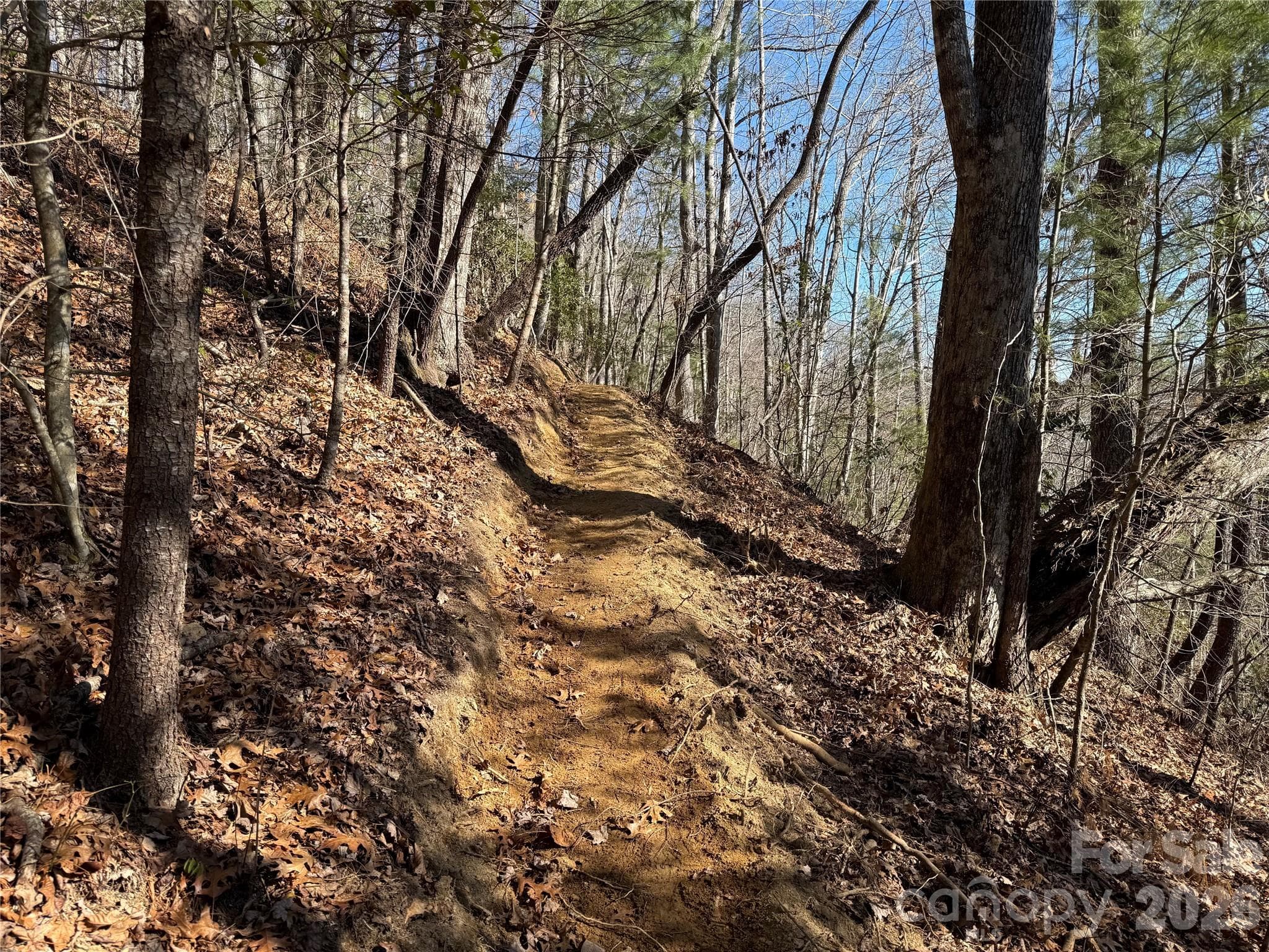 Lot at Brevard, photo 4 of 26