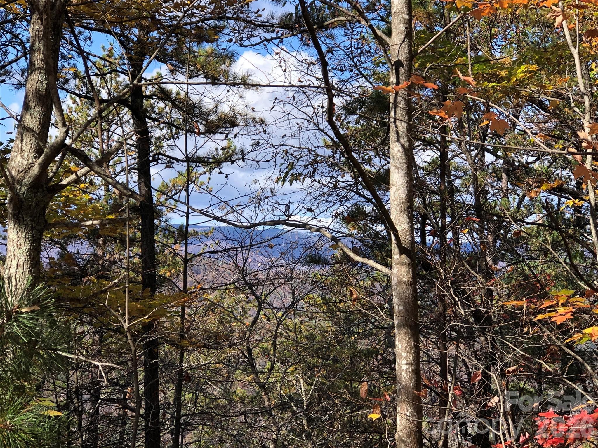 View from Lot 96 - TBD Buck Mountain Road, Purlear