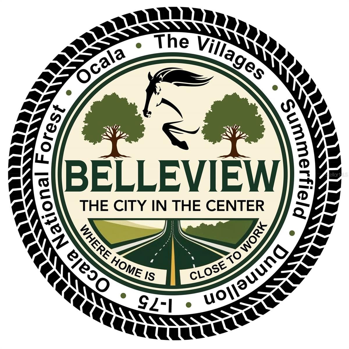 Land at 11090 SE 55TH AVENUE RD, BELLEVIEW, photo 10 of 10