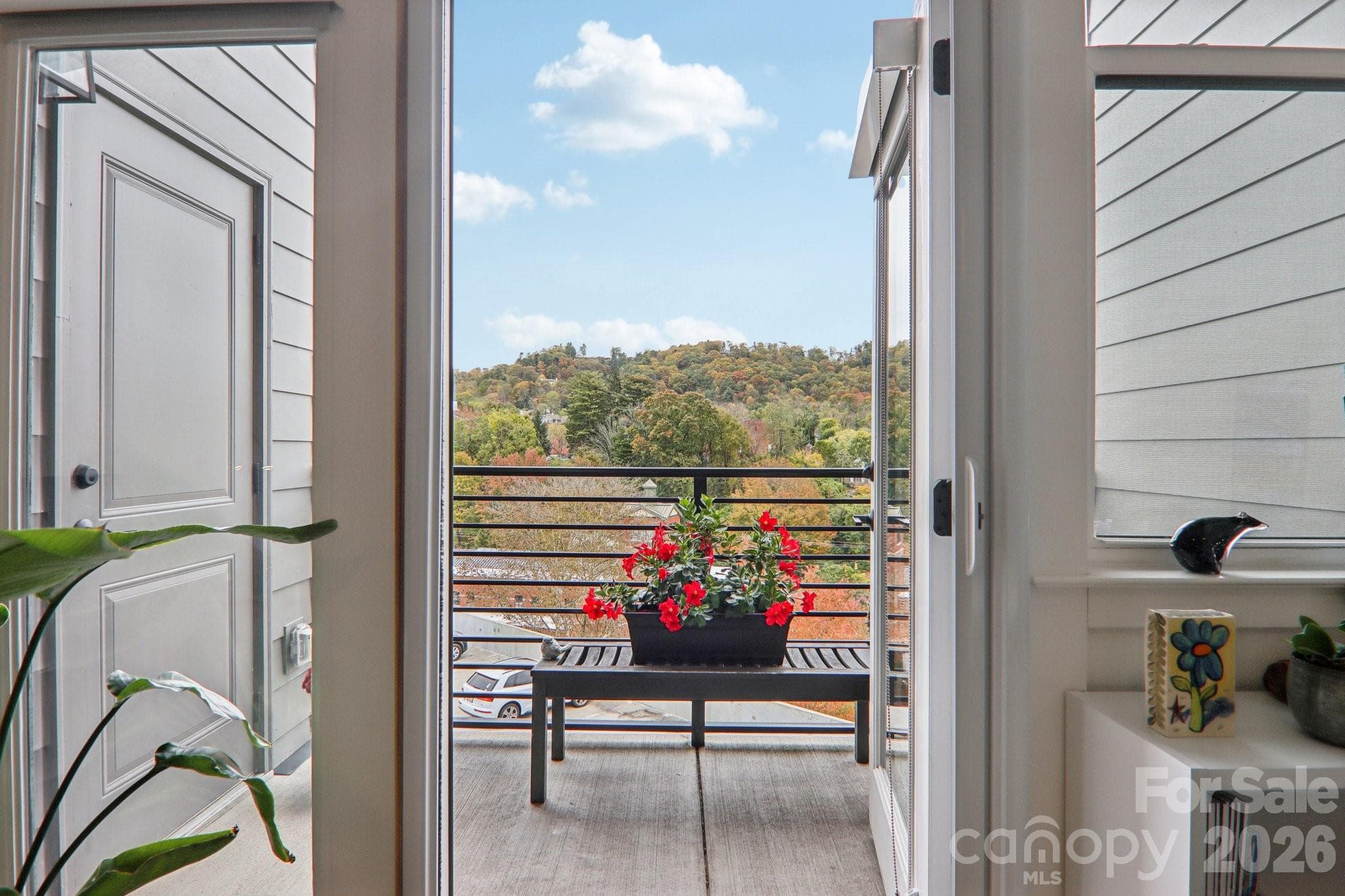 Picturesque mountain views! - 55 S Market Street, Asheville