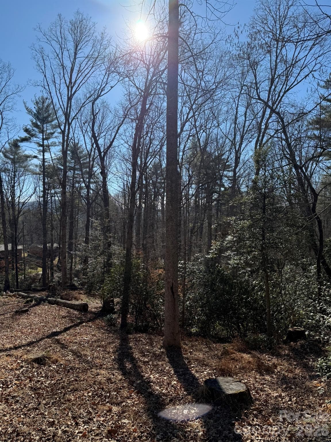 Lot at Brevard, photo 2 of 5