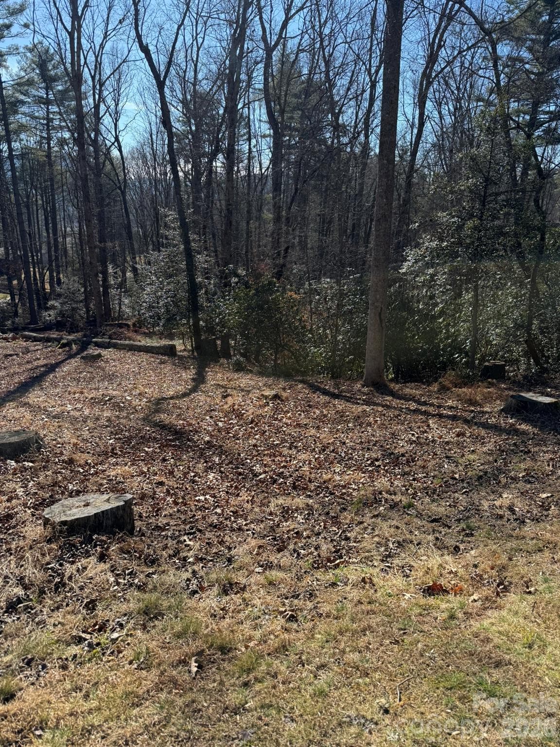 Lot at Brevard, photo 3 of 5