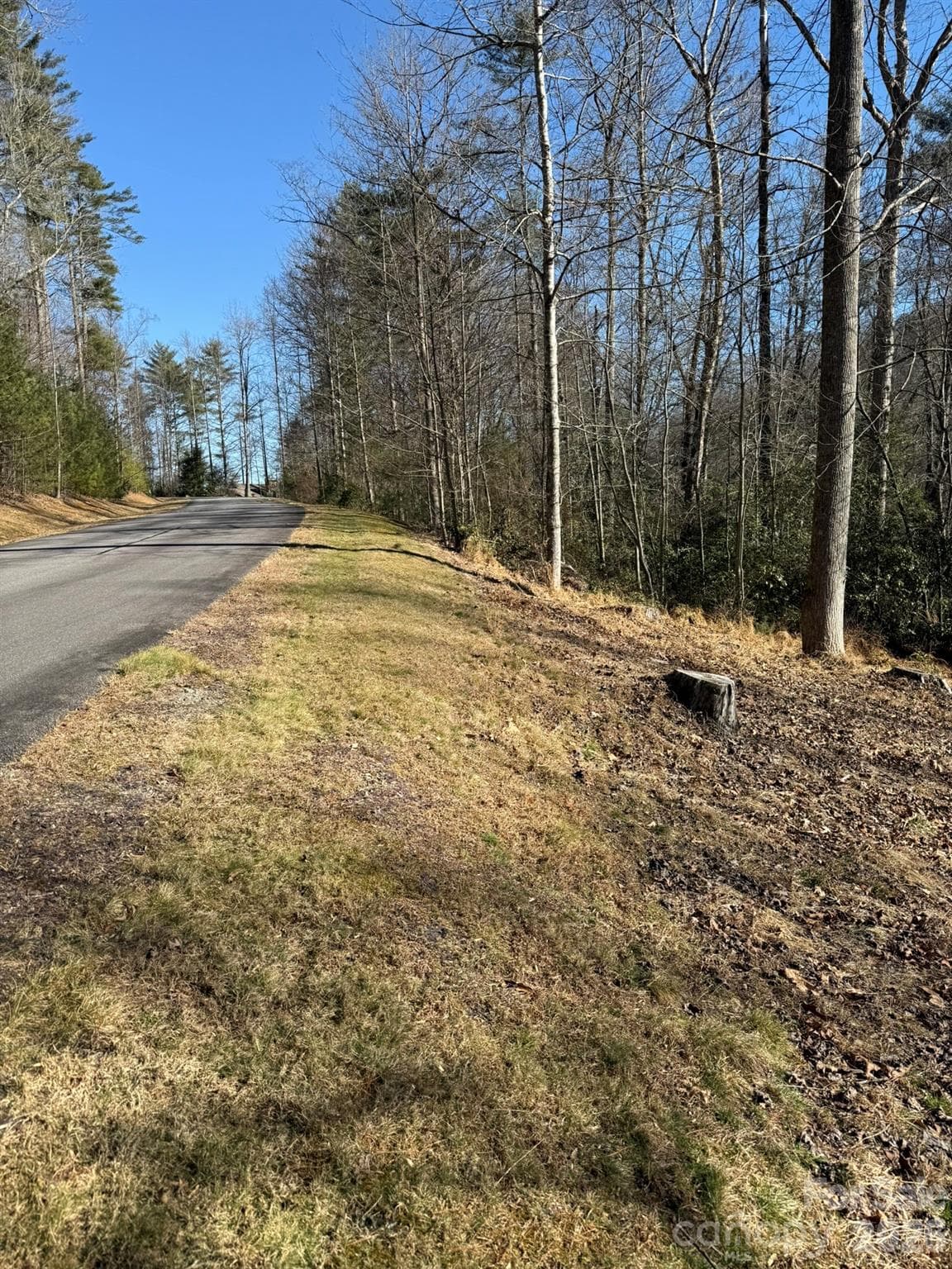 Lot at Brevard, photo 5 of 5