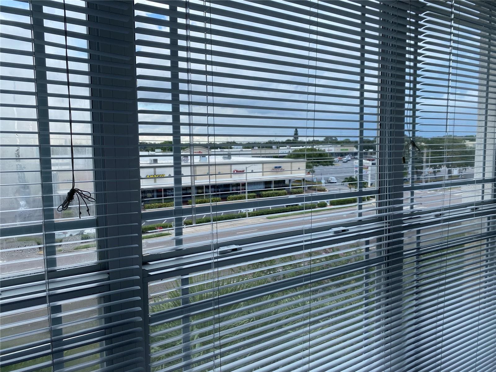 Window in living room - 1216 S MISSOURI AVE #418, CLEARWATER