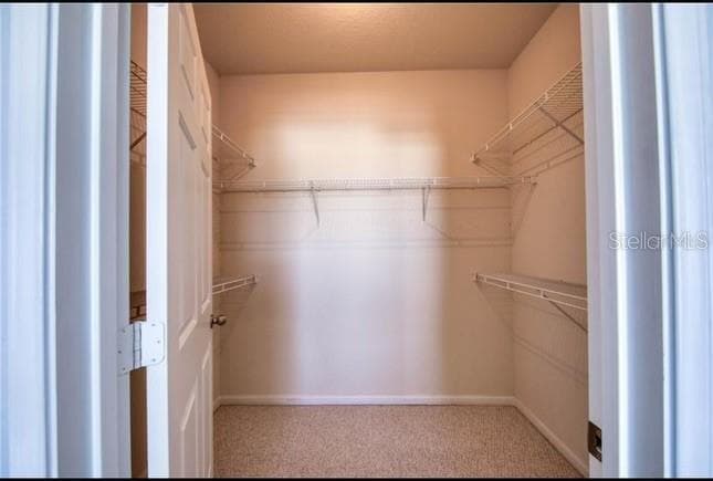 Walk-in closet - 1216 S MISSOURI AVE #418, CLEARWATER