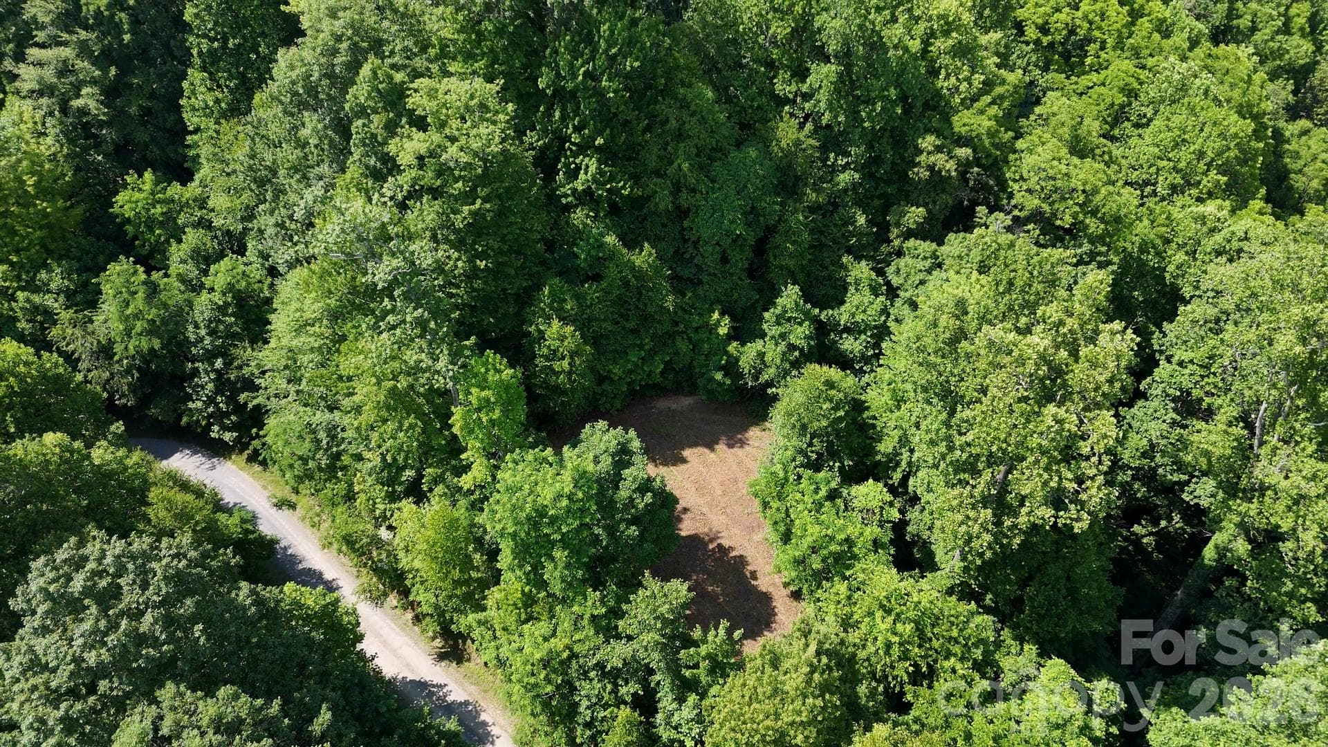 Lot at Waynesville, photo 2 of 14