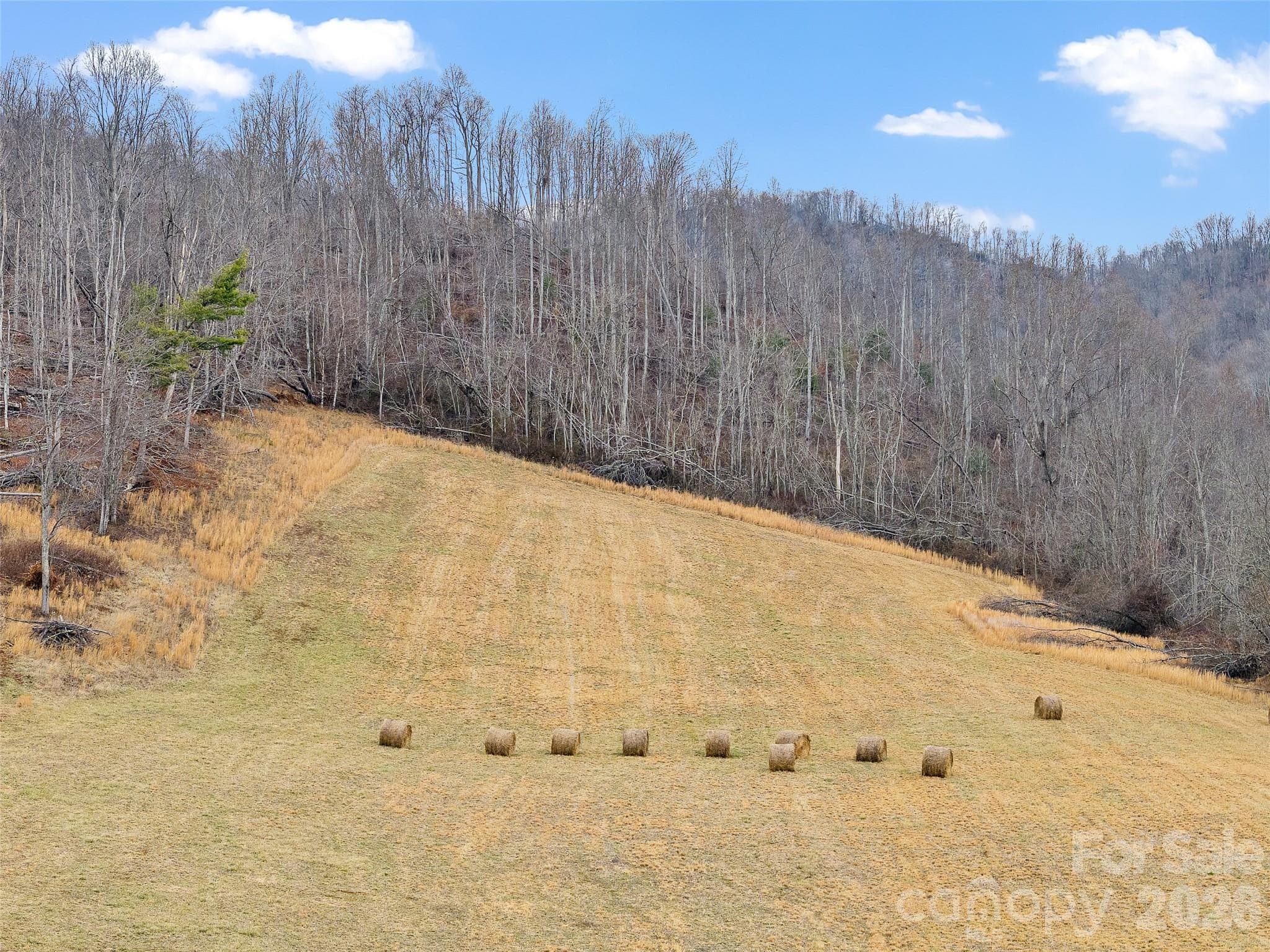 Acreage at 784 Green Young Cemetery Road, Bakersville, photo 3 of 46