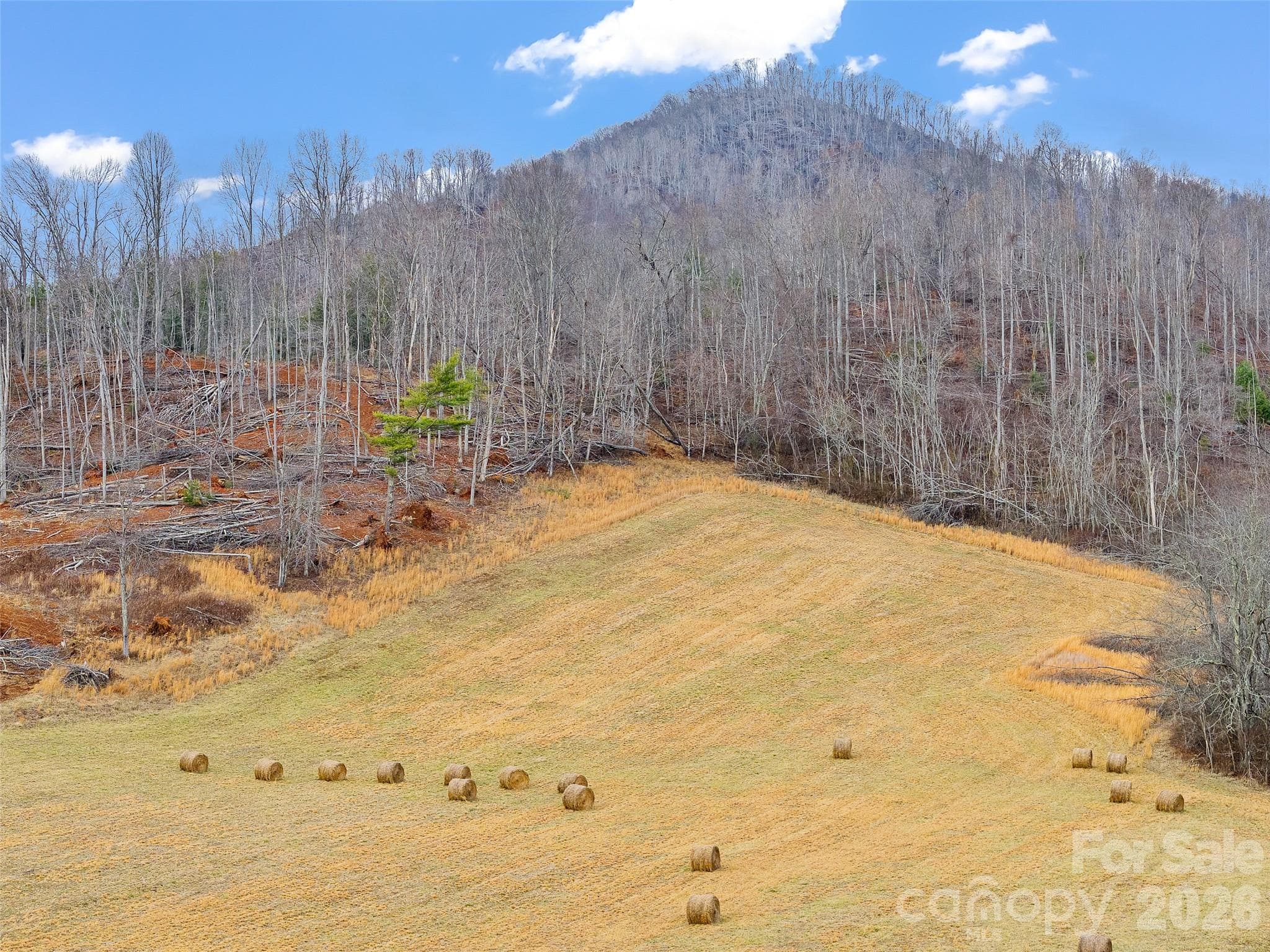 Acreage at 784 Green Young Cemetery Road, Bakersville, photo 4 of 46