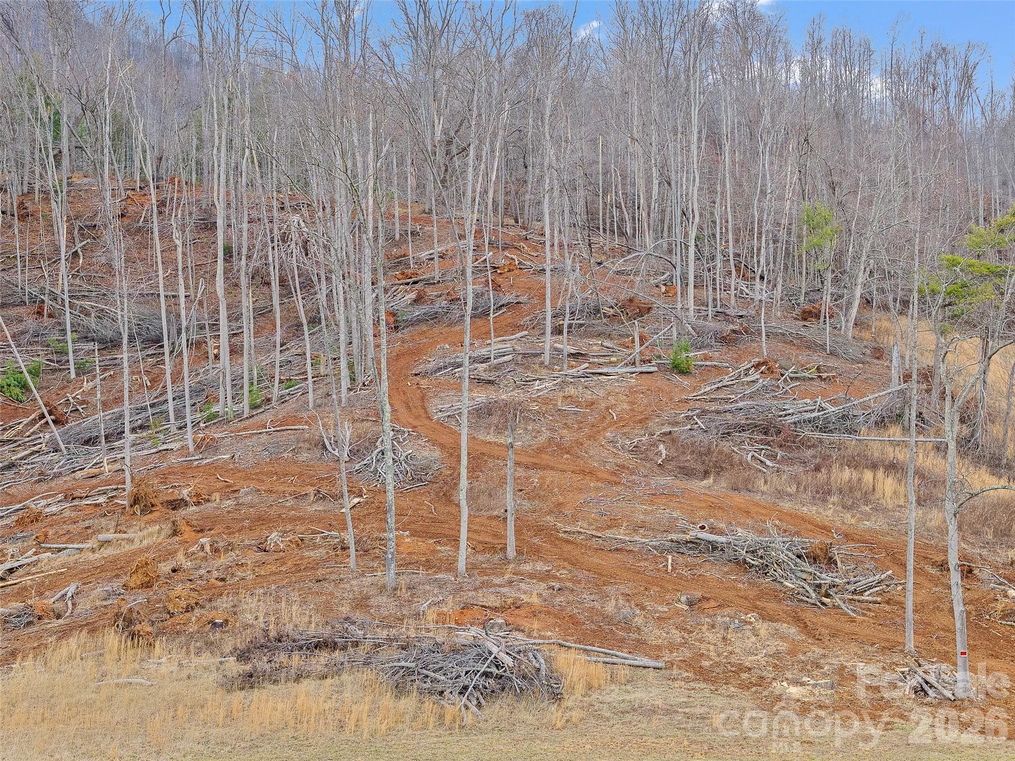 Acreage at 784 Green Young Cemetery Road, Bakersville, photo 6 of 46
