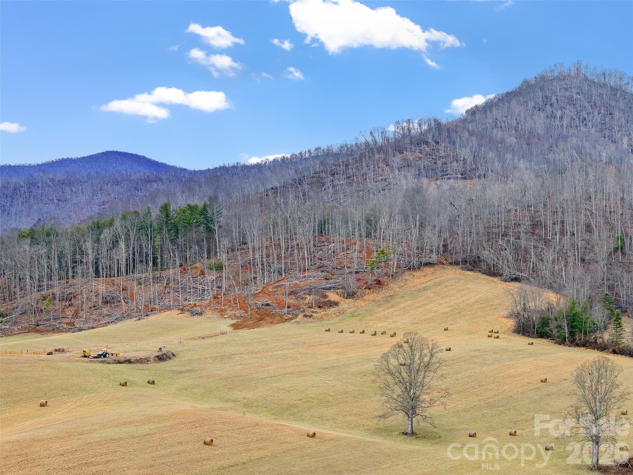 Acreage at 784 Green Young Cemetery Road, Bakersville, photo 7 of 46