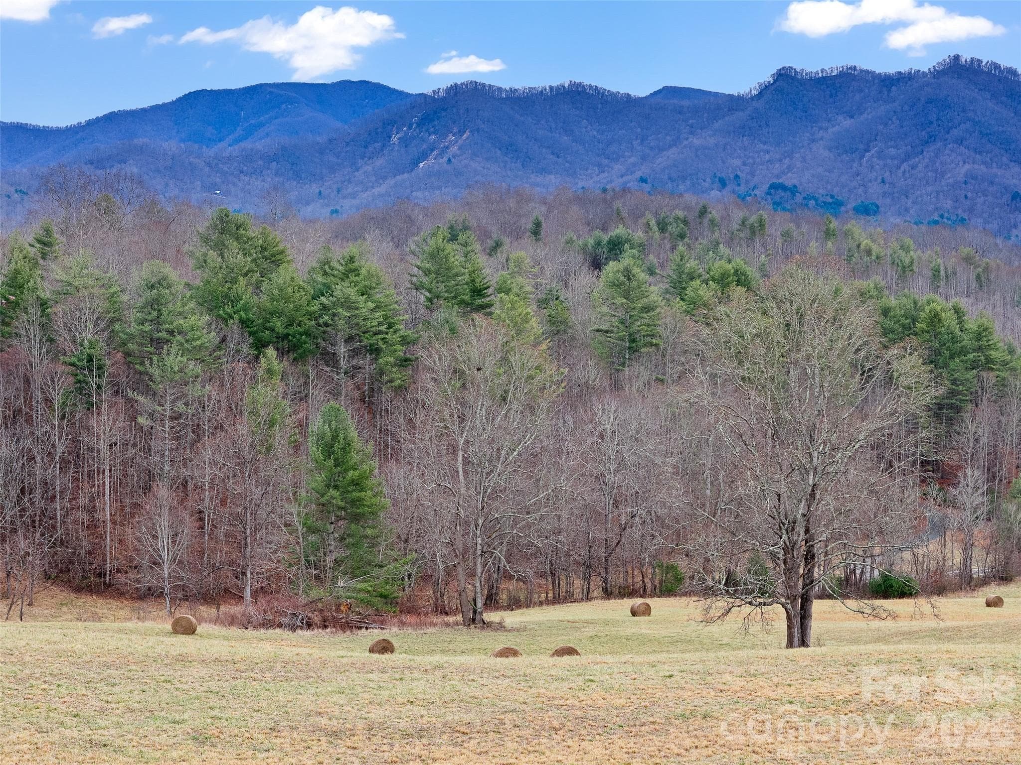 Acreage at 784 Green Young Cemetery Road, Bakersville, photo 8 of 46