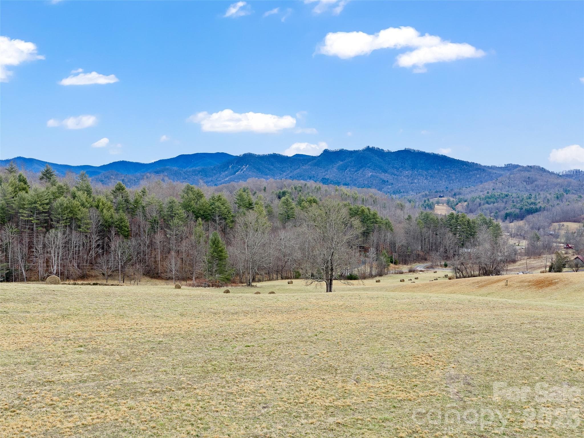 Acreage at 784 Green Young Cemetery Road, Bakersville, photo 9 of 46