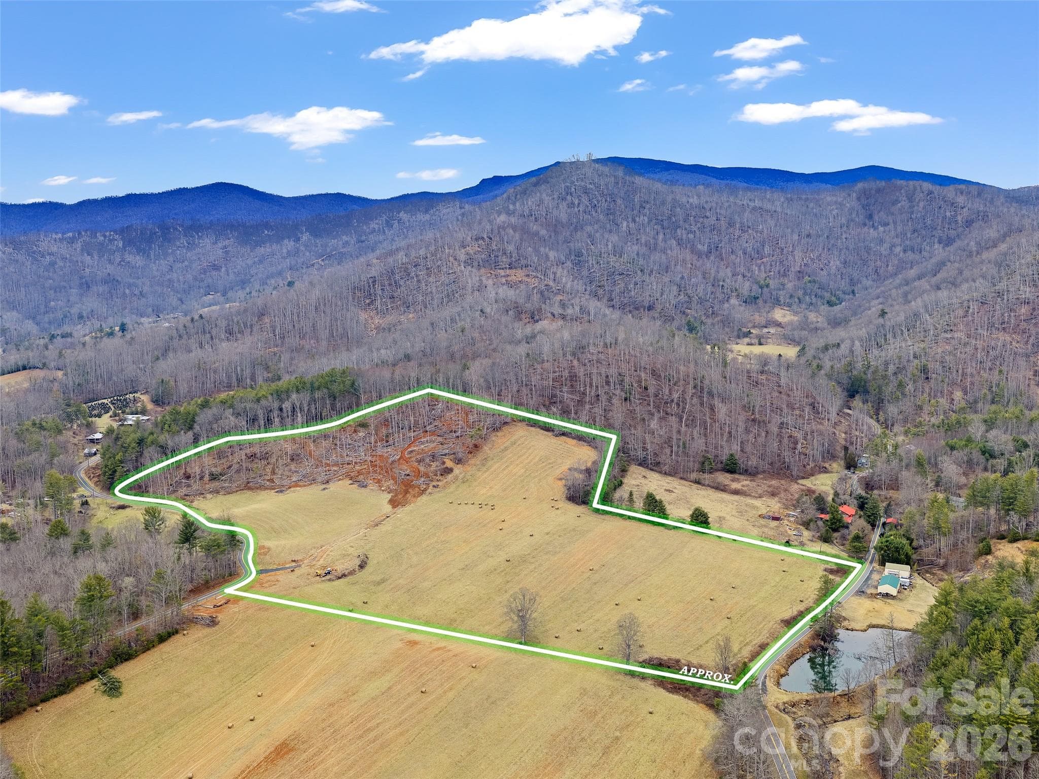 Acreage at 784 Green Young Cemetery Road, Bakersville, photo 10 of 46