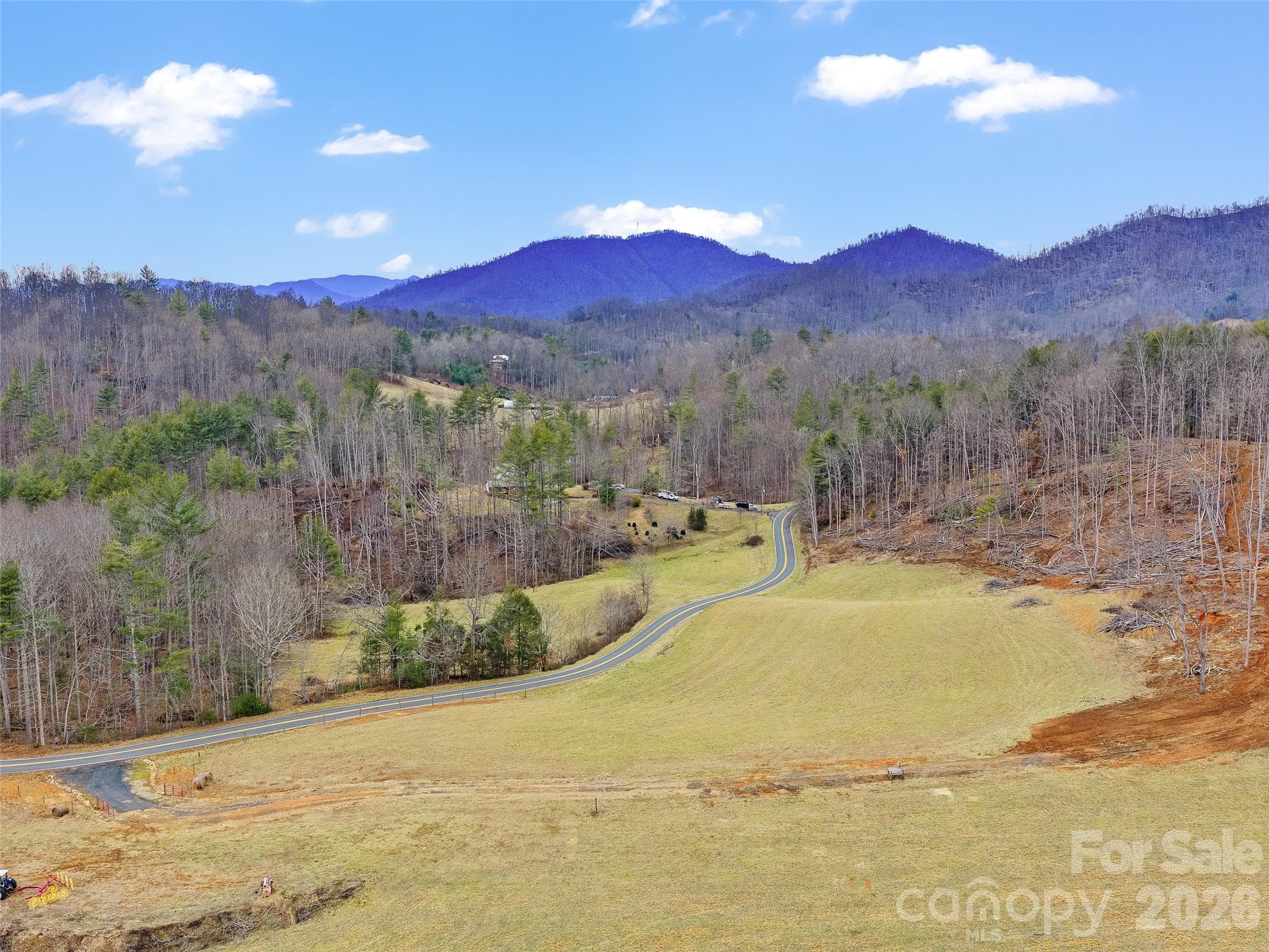 Acreage at 784 Green Young Cemetery Road, Bakersville, photo 13 of 46