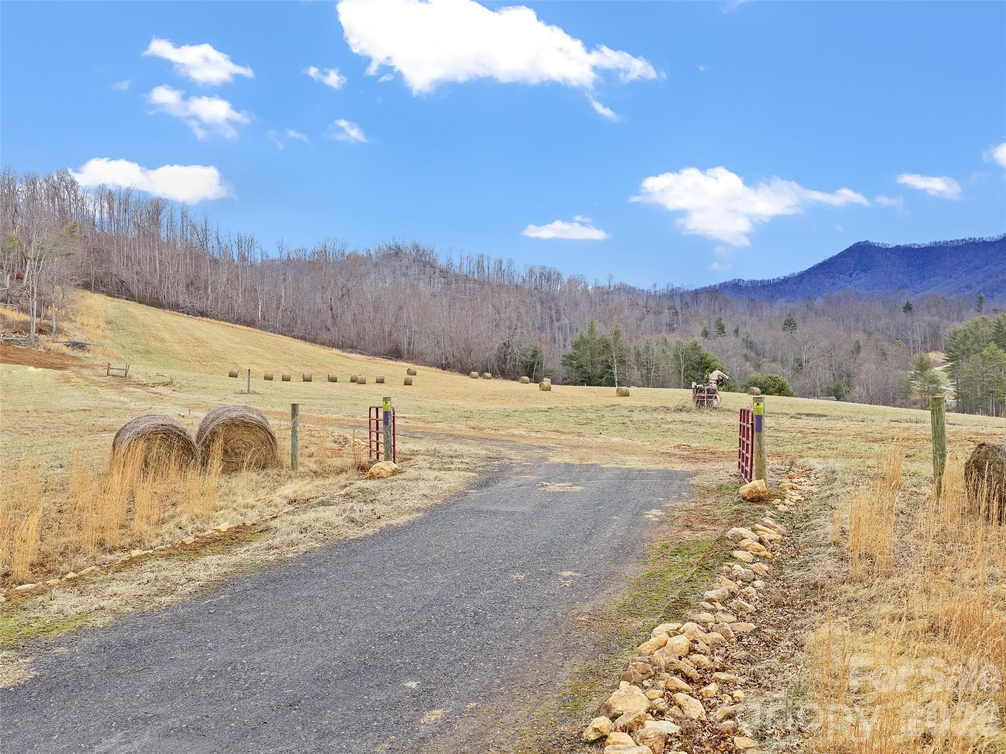Acreage at 784 Green Young Cemetery Road, Bakersville, photo 17 of 46