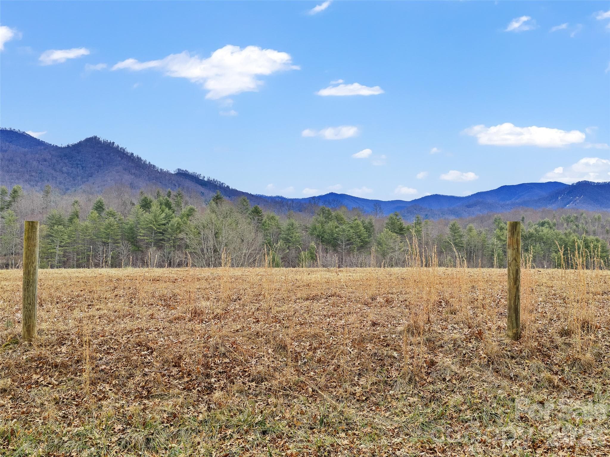 Acreage at 784 Green Young Cemetery Road, Bakersville, photo 20 of 46
