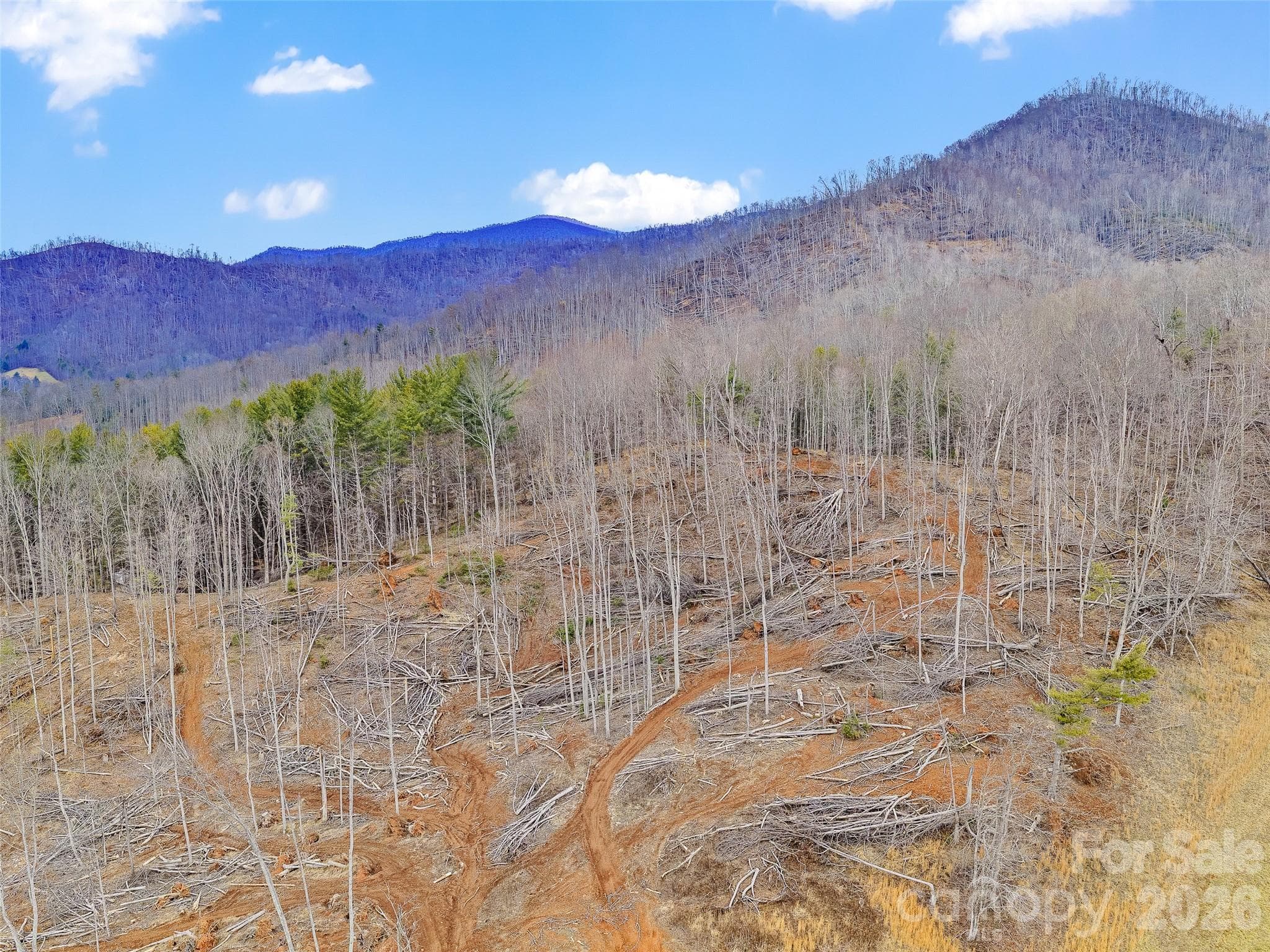 Acreage at 784 Green Young Cemetery Road, Bakersville, photo 21 of 46