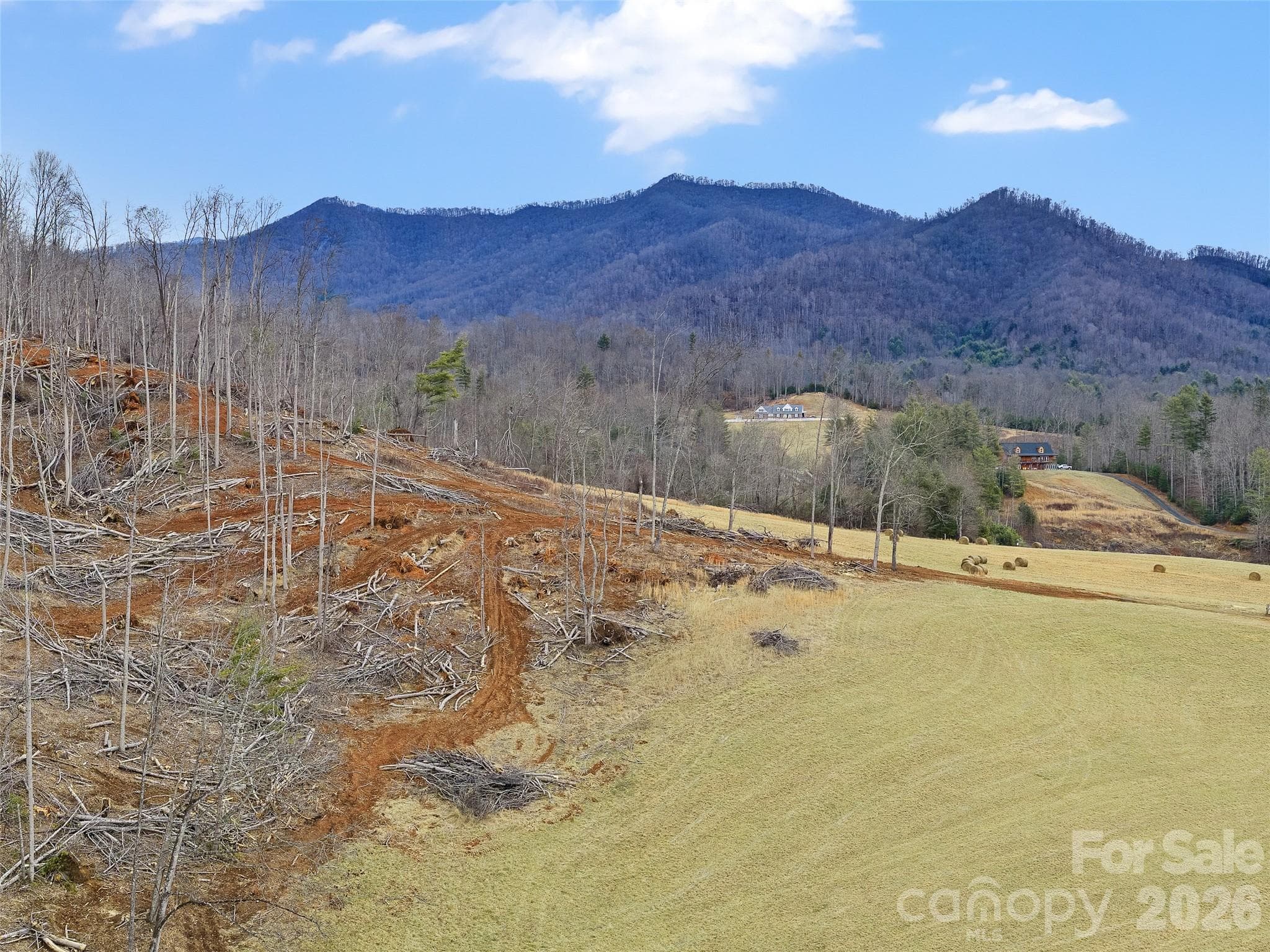 Acreage at 784 Green Young Cemetery Road, Bakersville, photo 22 of 46